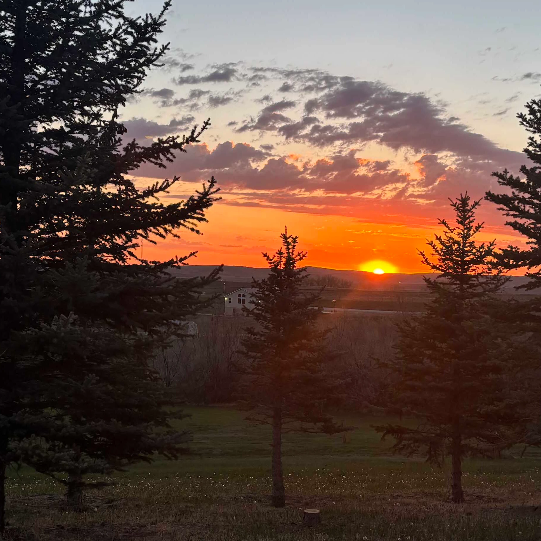 Sunrise small 5 14 26