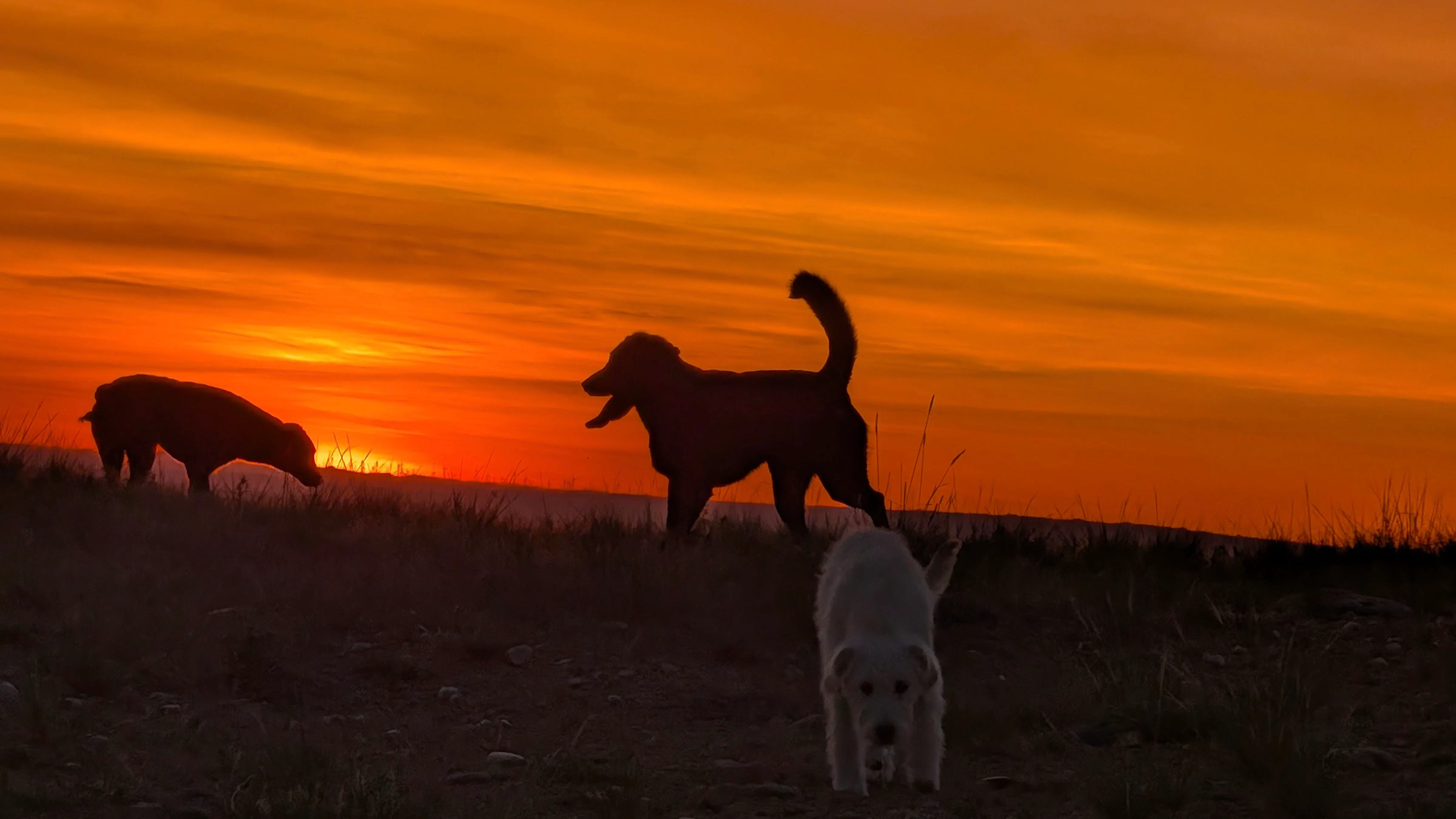Sunrise small 5 30 26