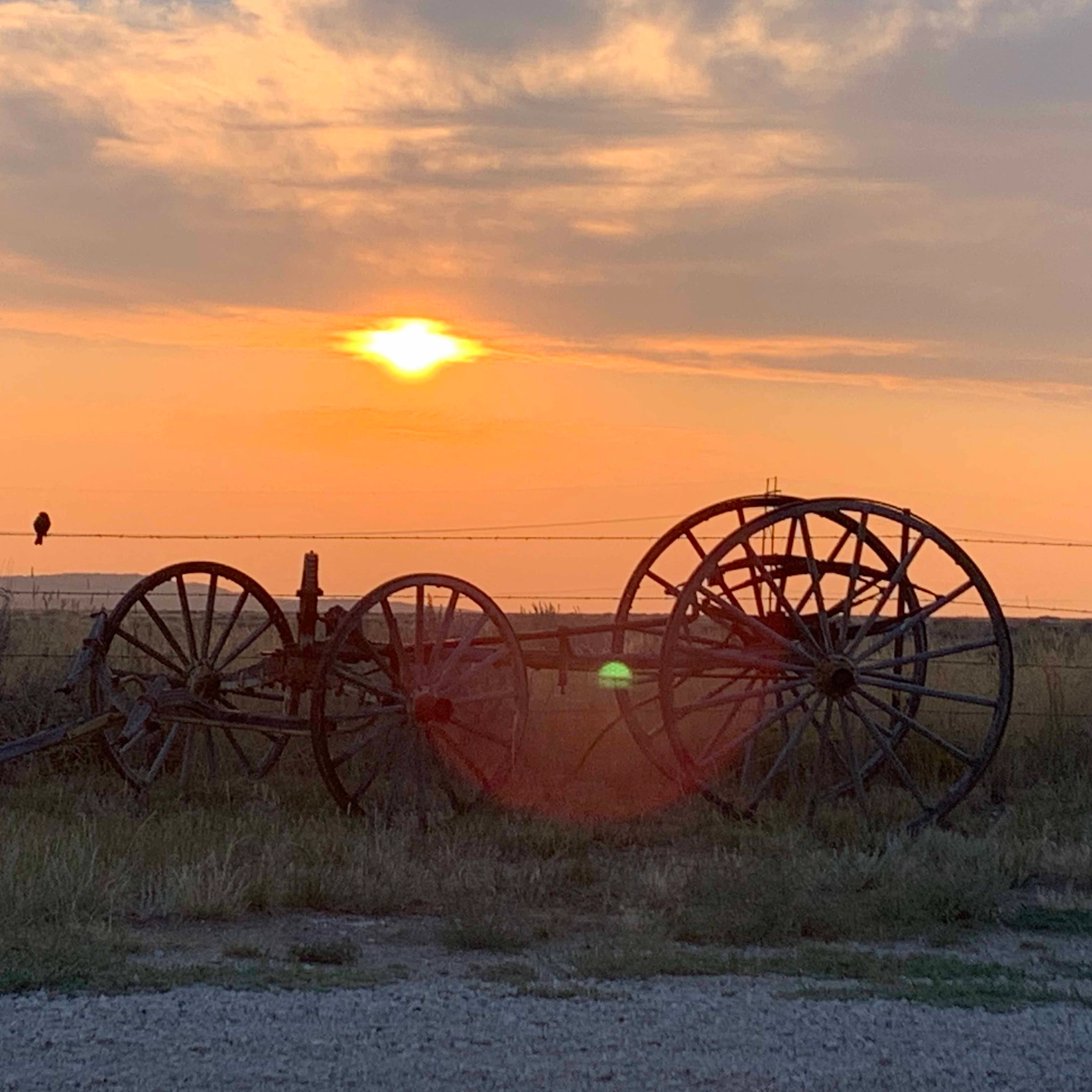 Sunrise small 5 5 26