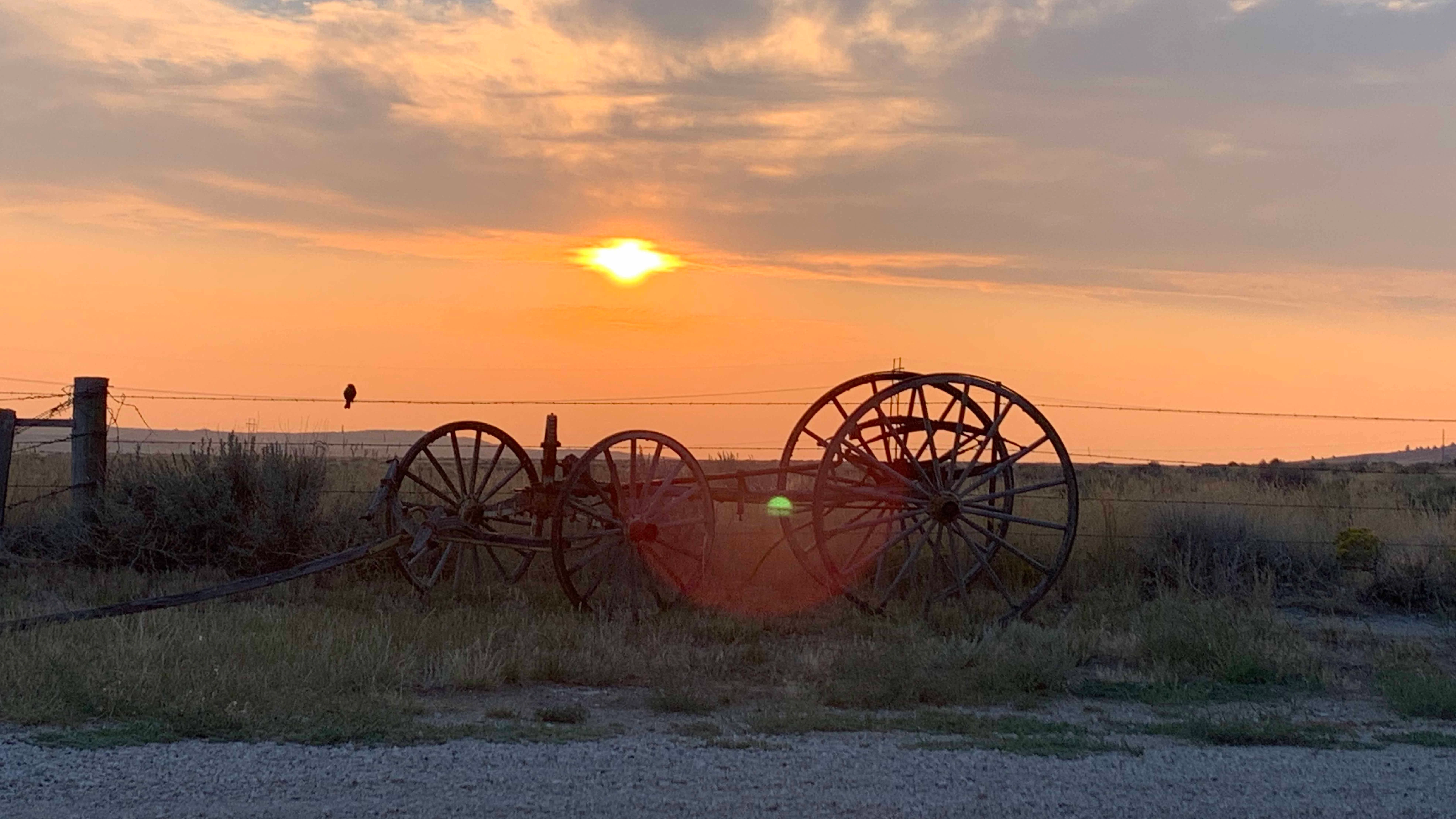 Sunrise small 5 5 26