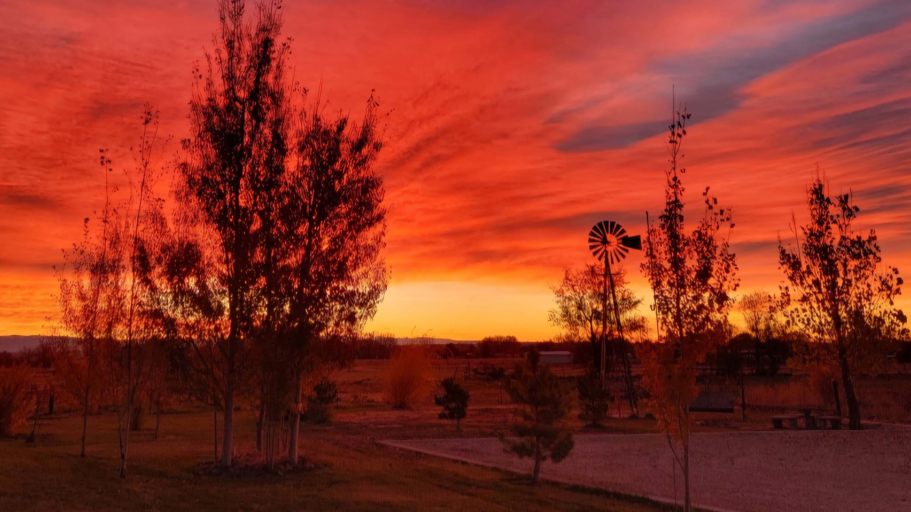 Sunrise small 6 8 26