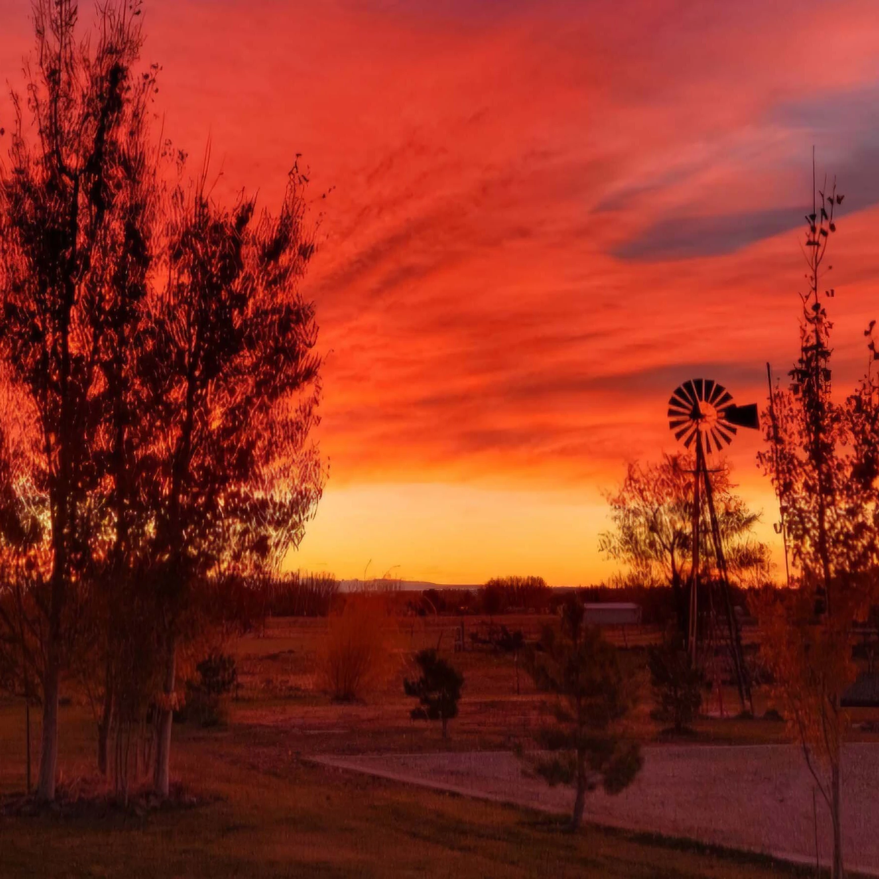 Sunrise small 6 8 26