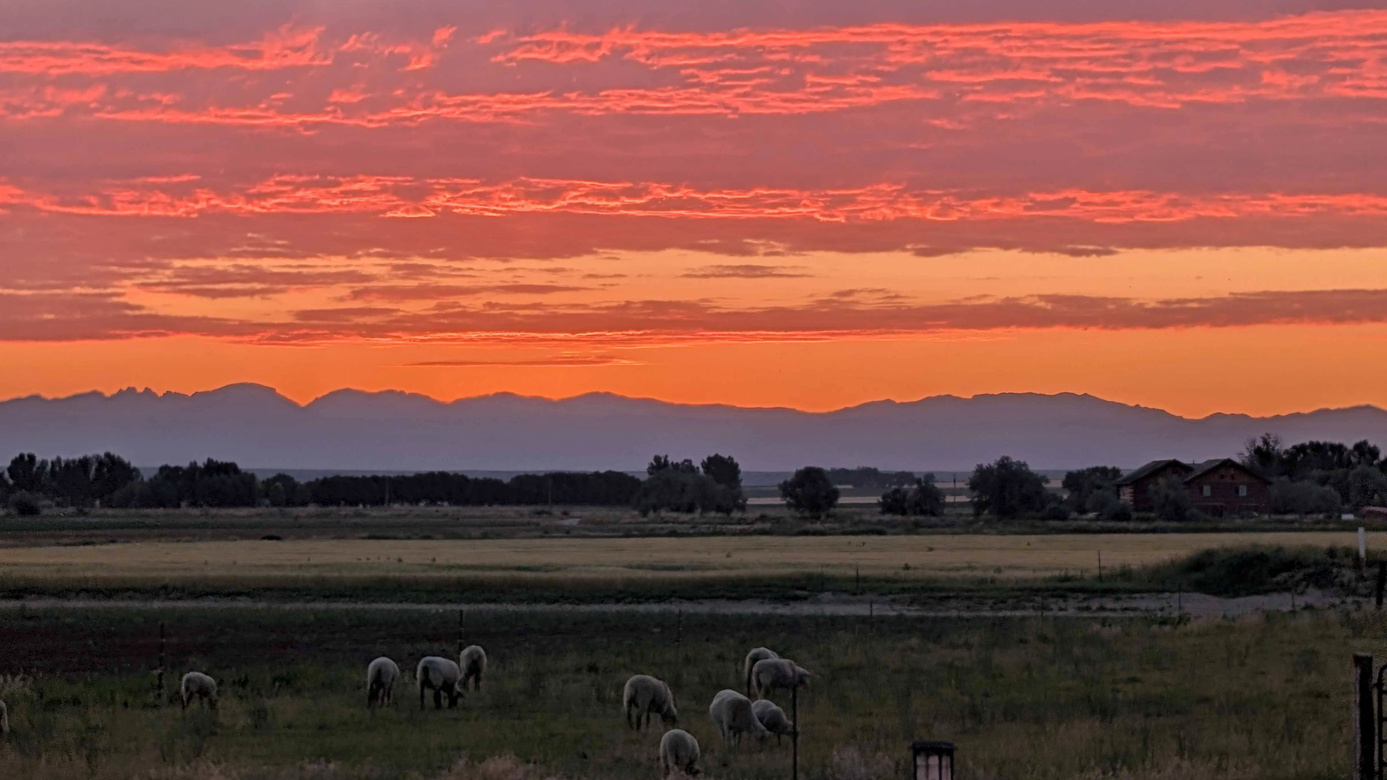 Sunrise small 7 16 26