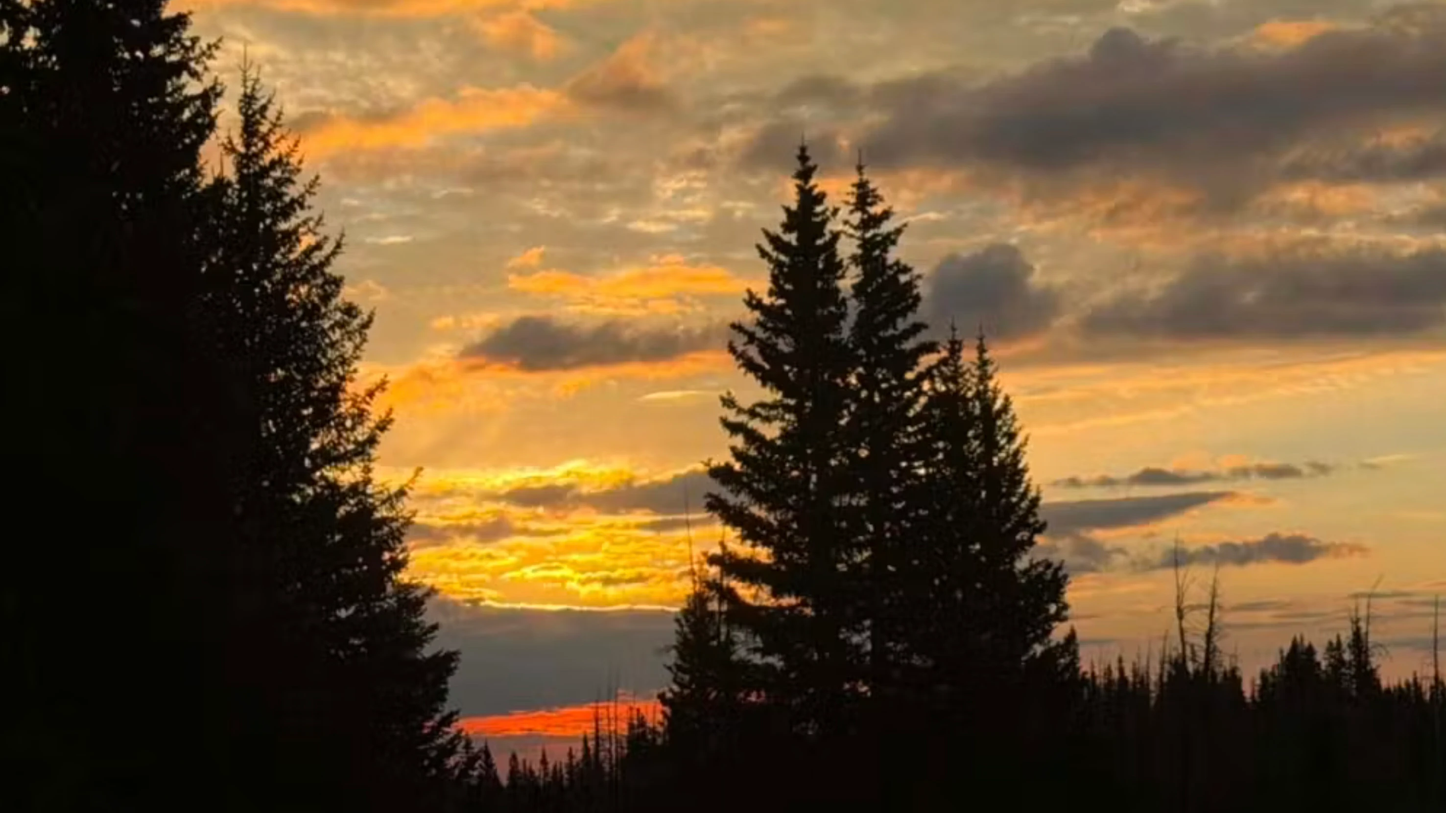 Sunrise small 8 16 26