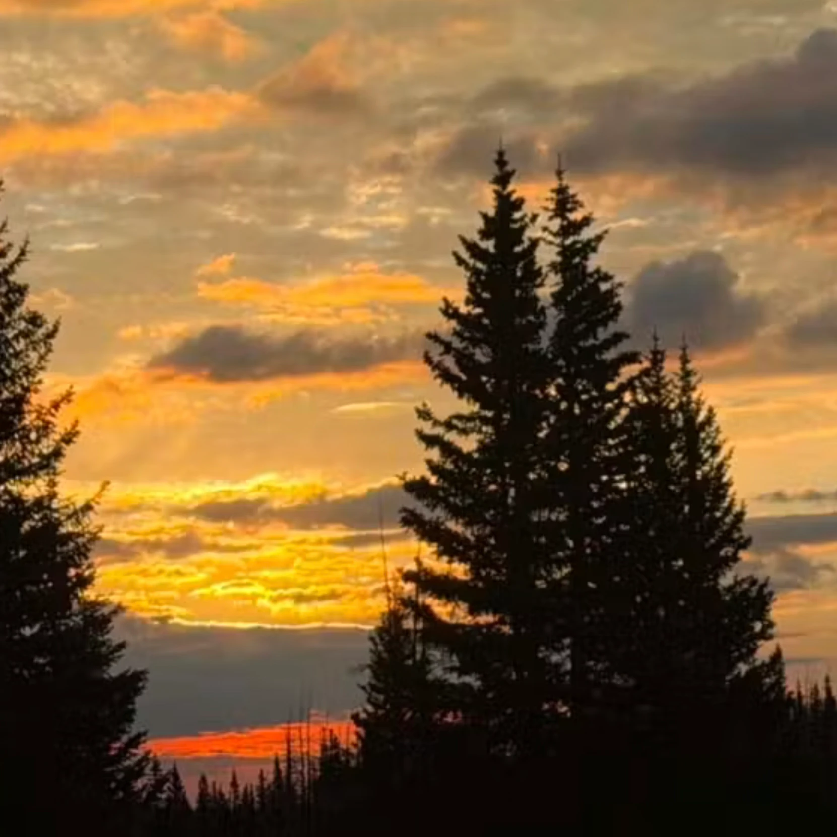 Sunrise small 8 16 26
