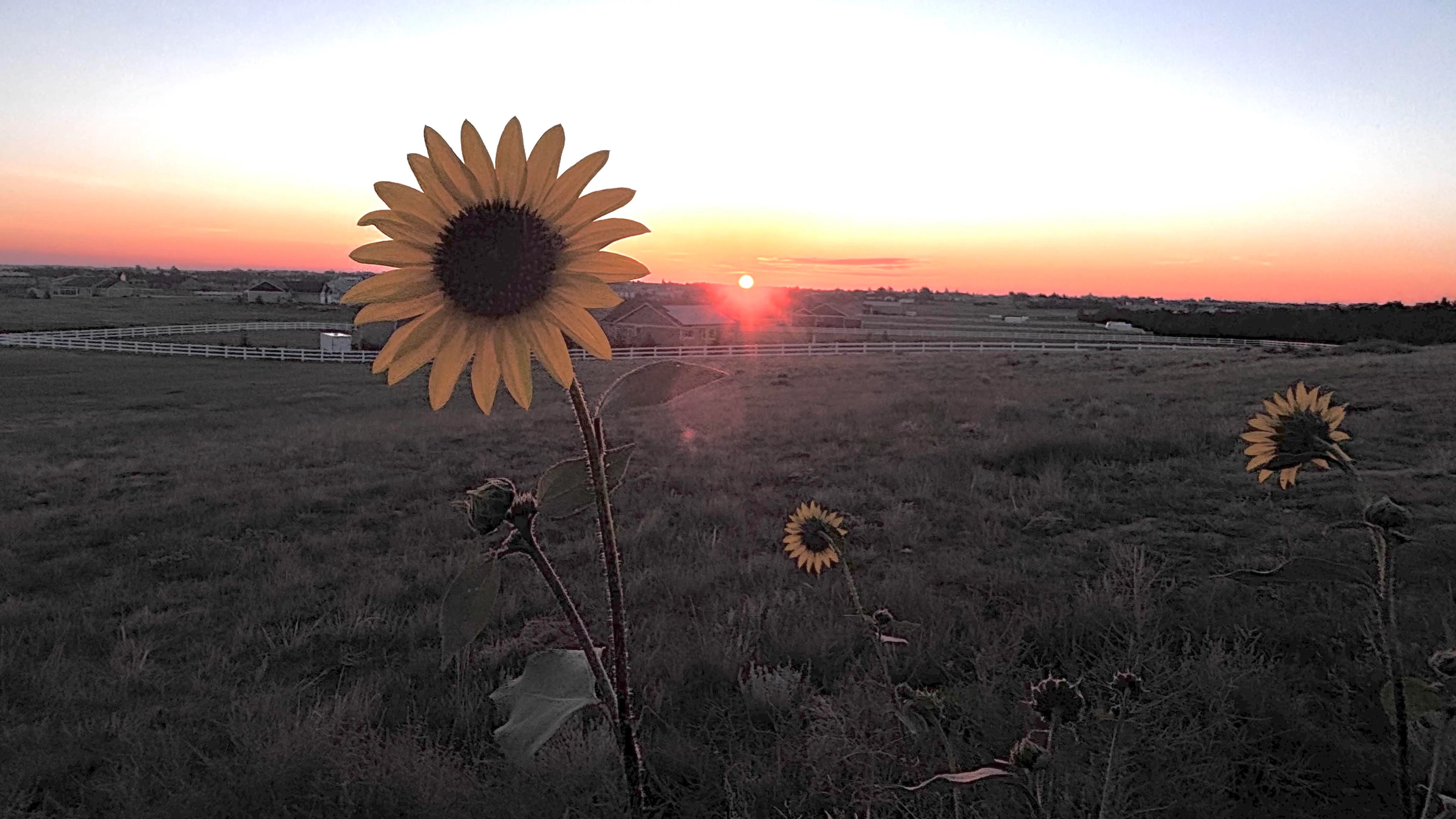 Sunrise small 8 29 26
