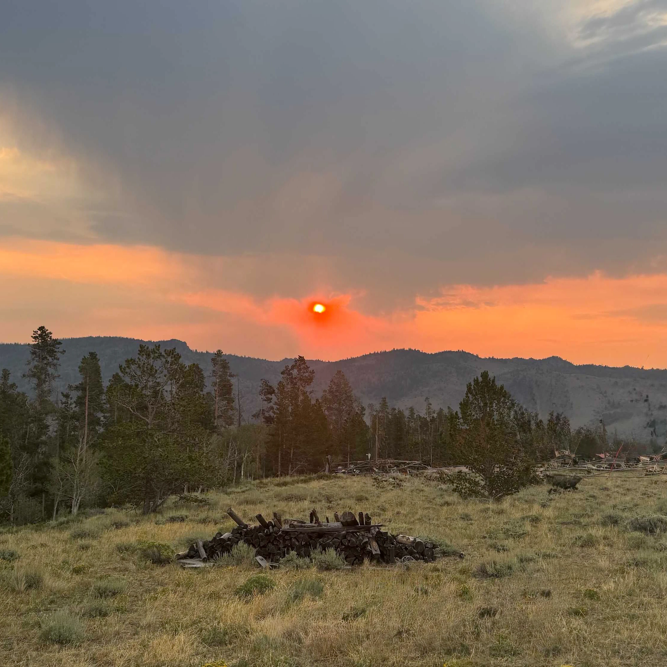 Sunrise small 8 5 26