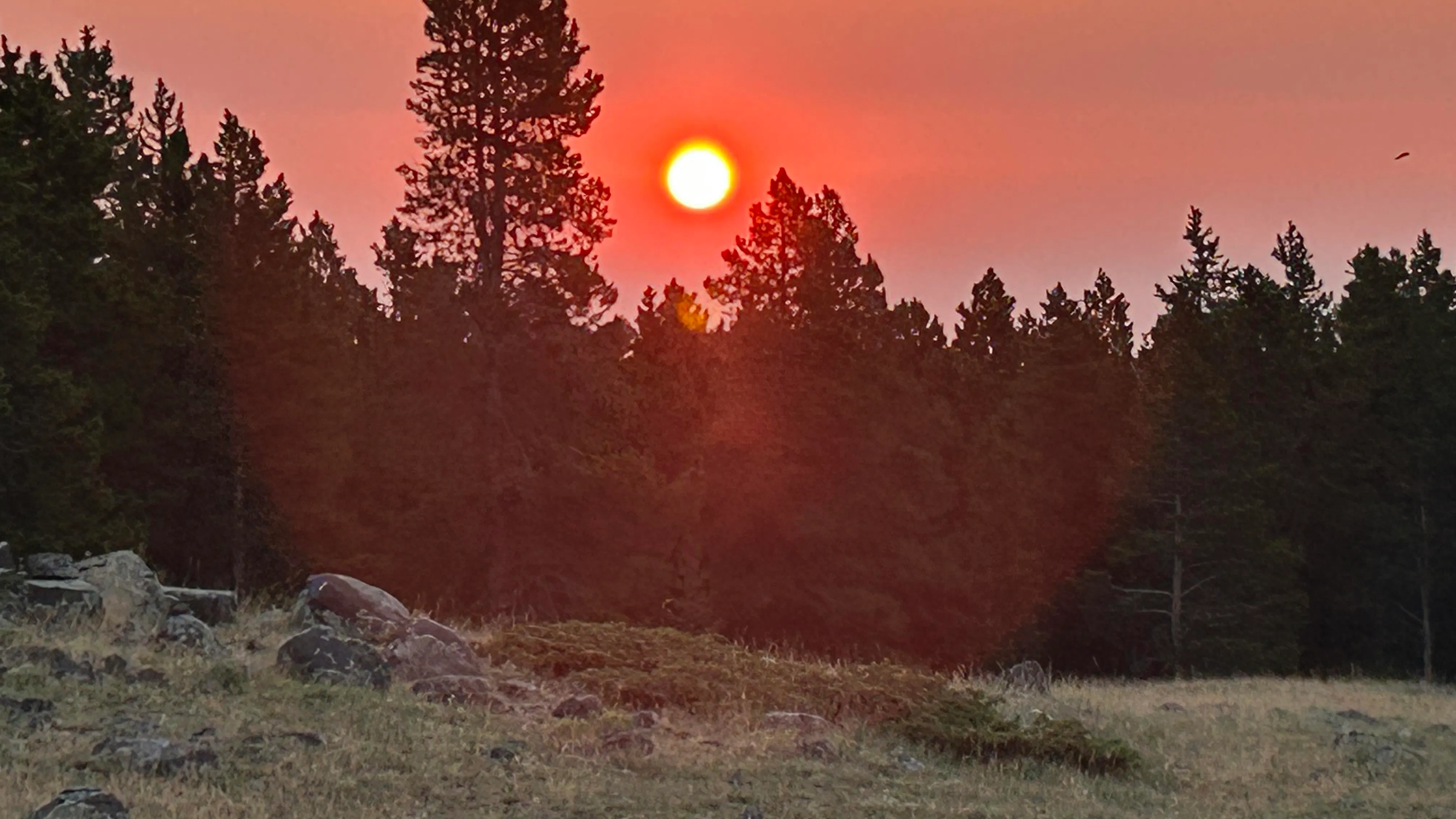 Sunrise small 8 7 26