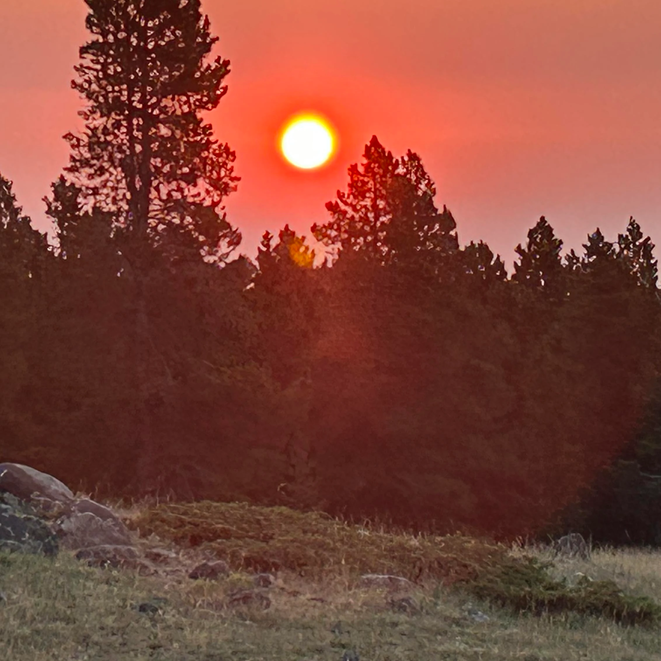 Sunrise small 8 7 26