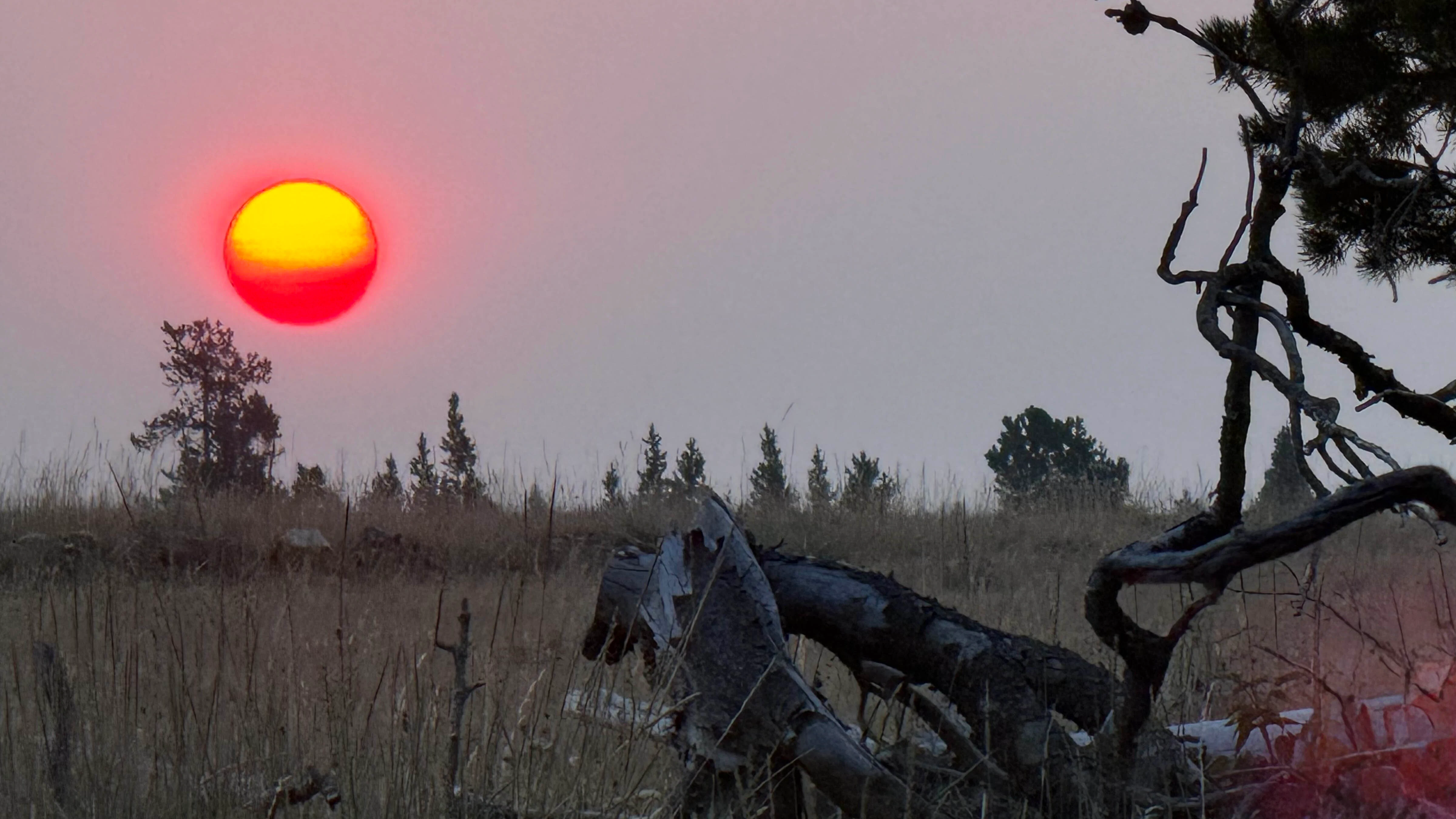 "This morning near Poison Creek in the Bighorns."
