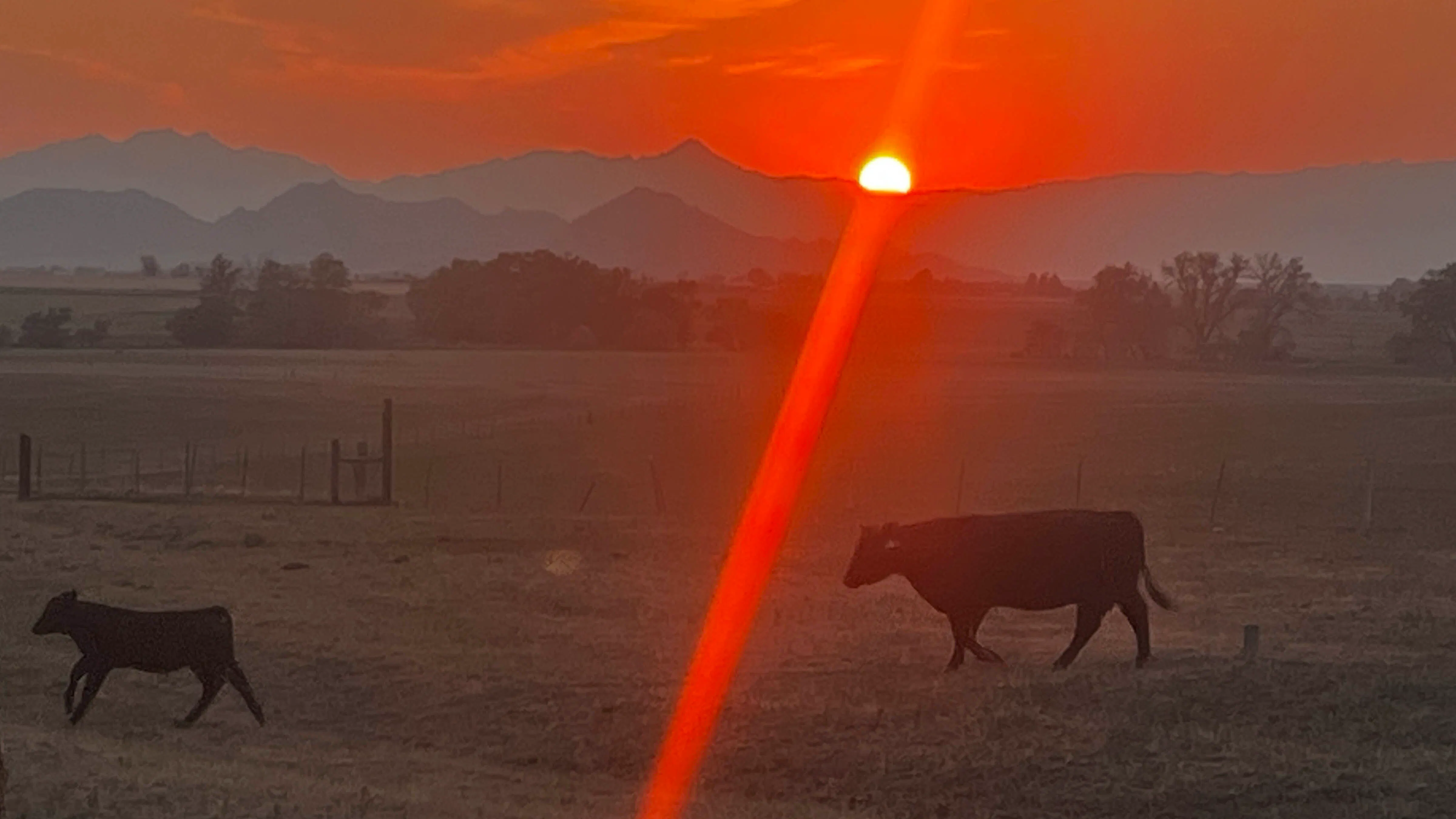 "Sunset taken from my sister's place southwest of Wheatland. To me you just can’t get more Wyoming then mountains, cattle and a great sunset.".