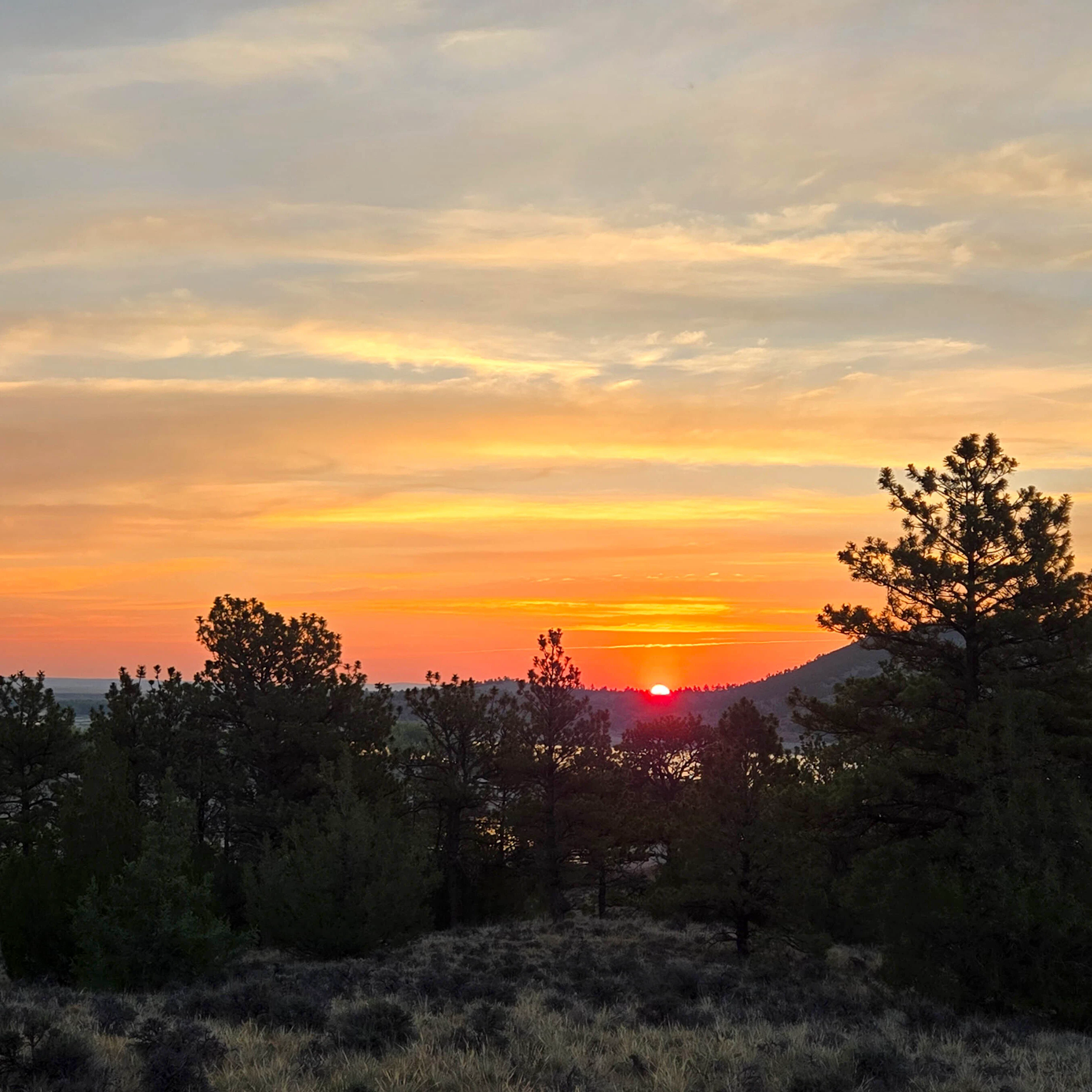 From the Reno Cove campground at Glendo where the thermometer was already pushing 80 before 7:30 a.m.