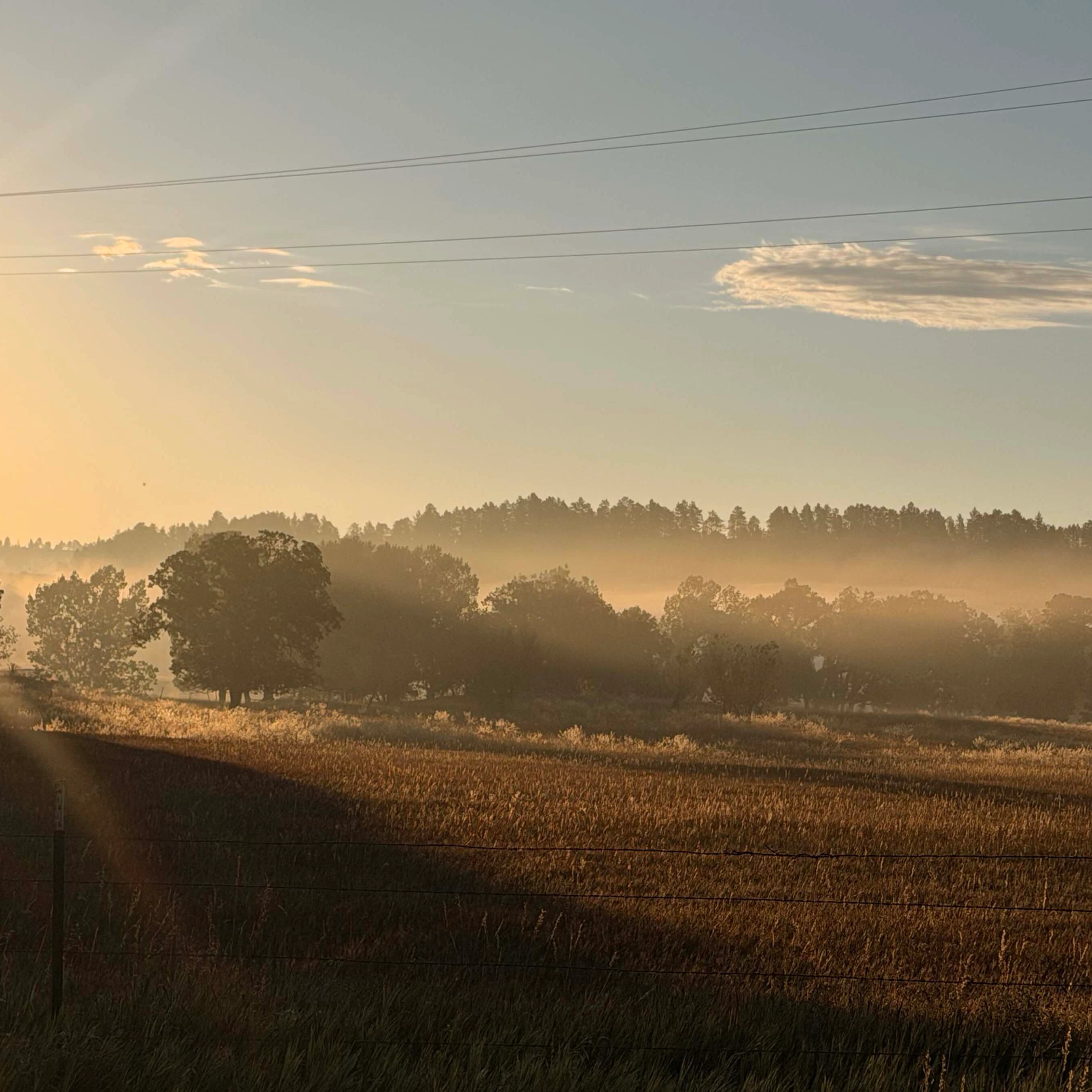 Sunrise small 9 8 26