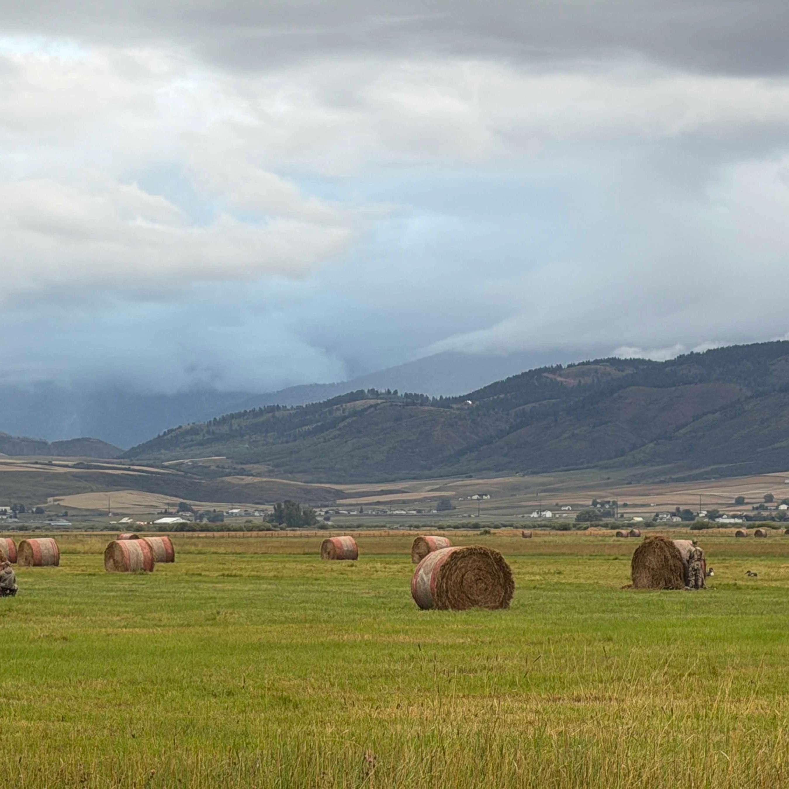 It’s a damp morning in the early hours for the opening day of goose hunting in Star Valley.