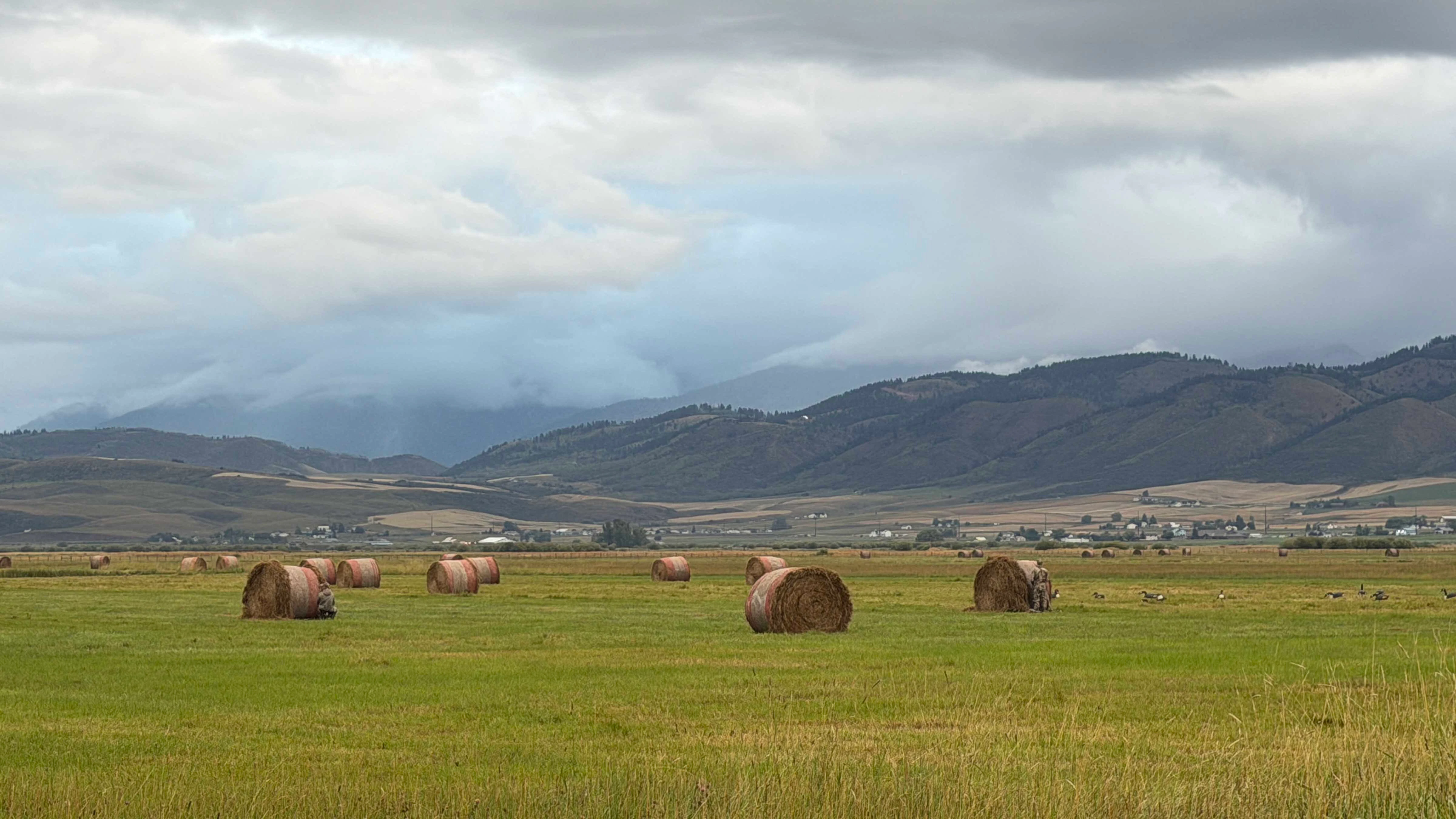 It’s a damp morning in the early hours for the opening day of goose hunting in Star Valley.