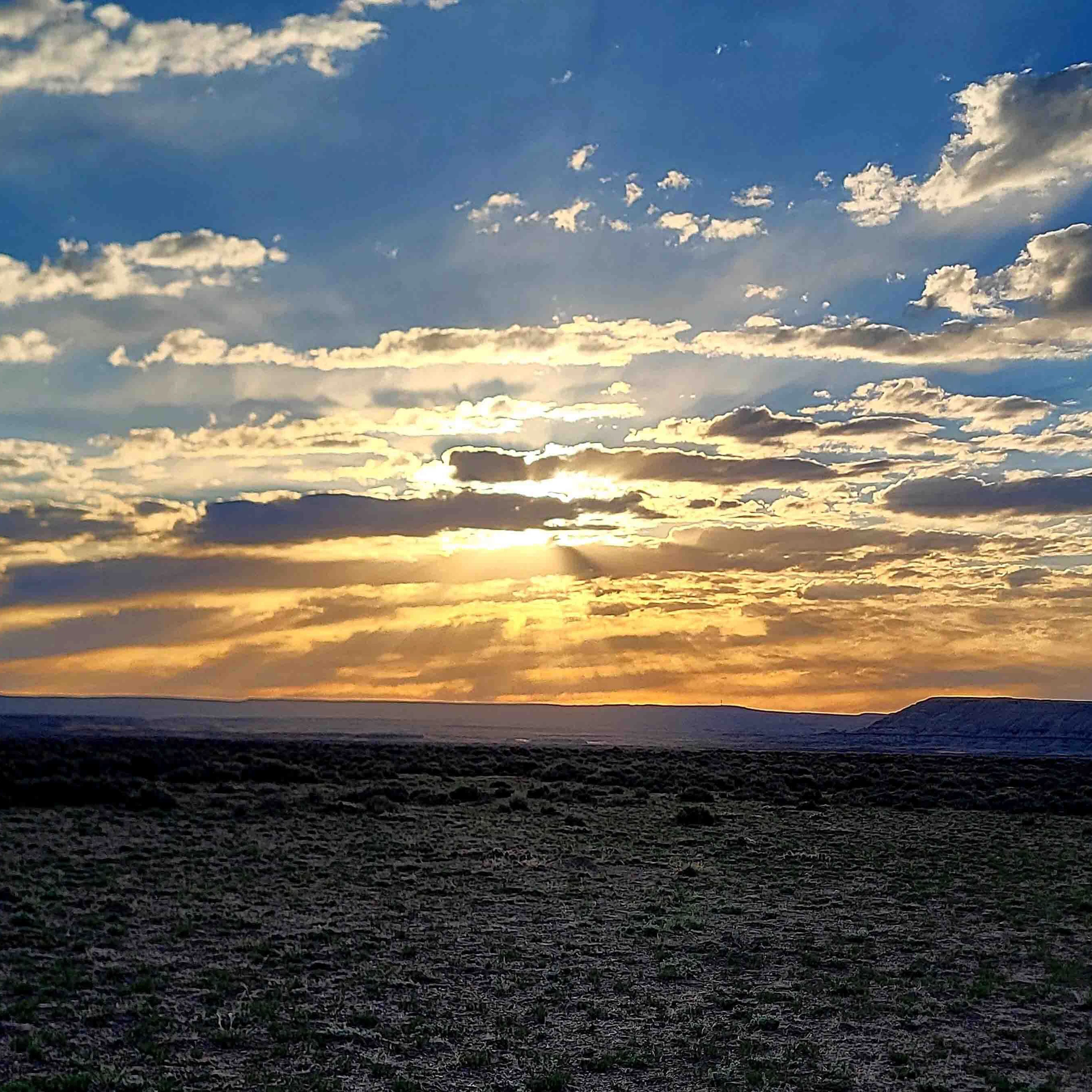 "Desert sunrise on Turtle Hill Road."