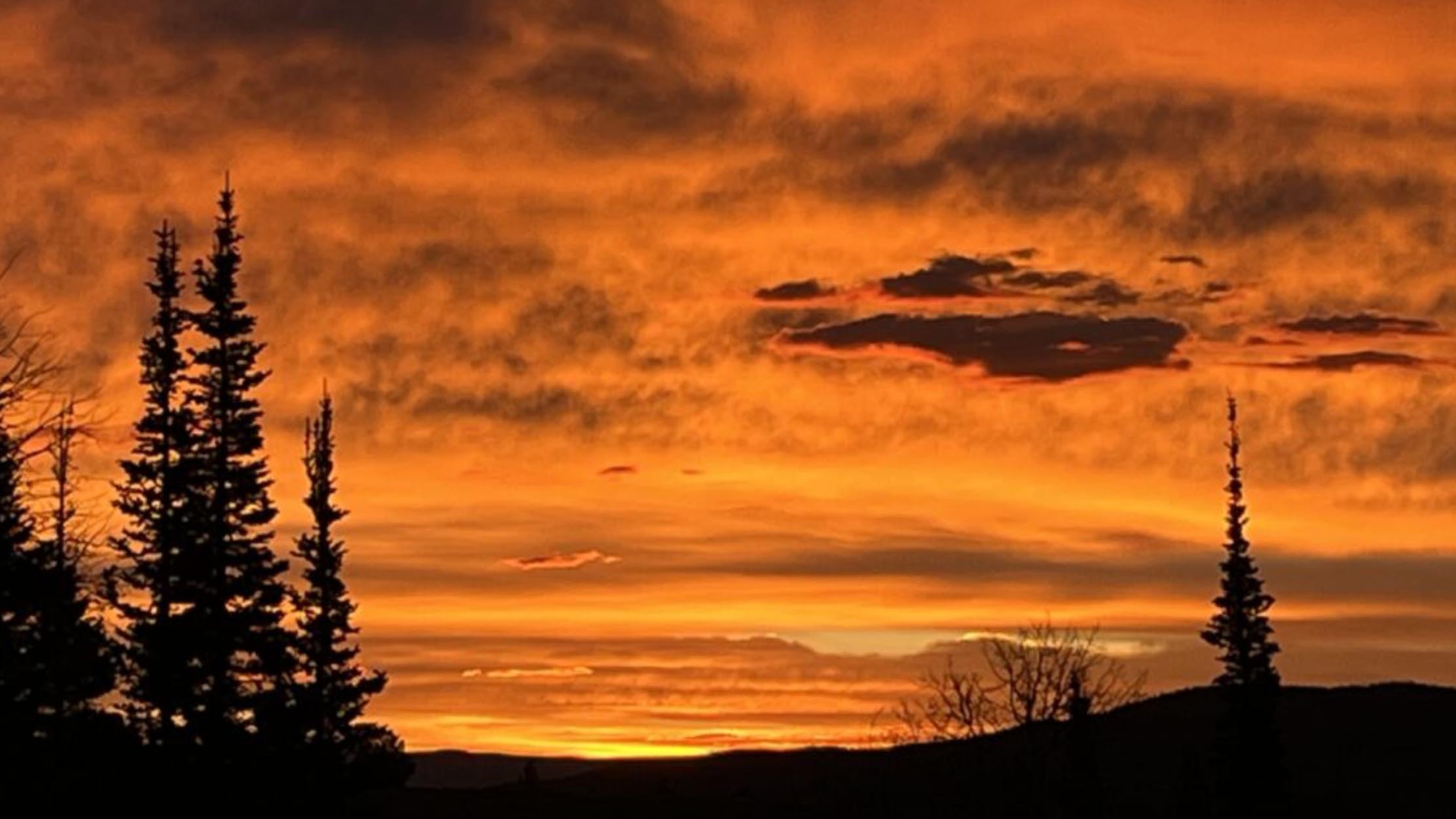 Sunrise web 10 16 25