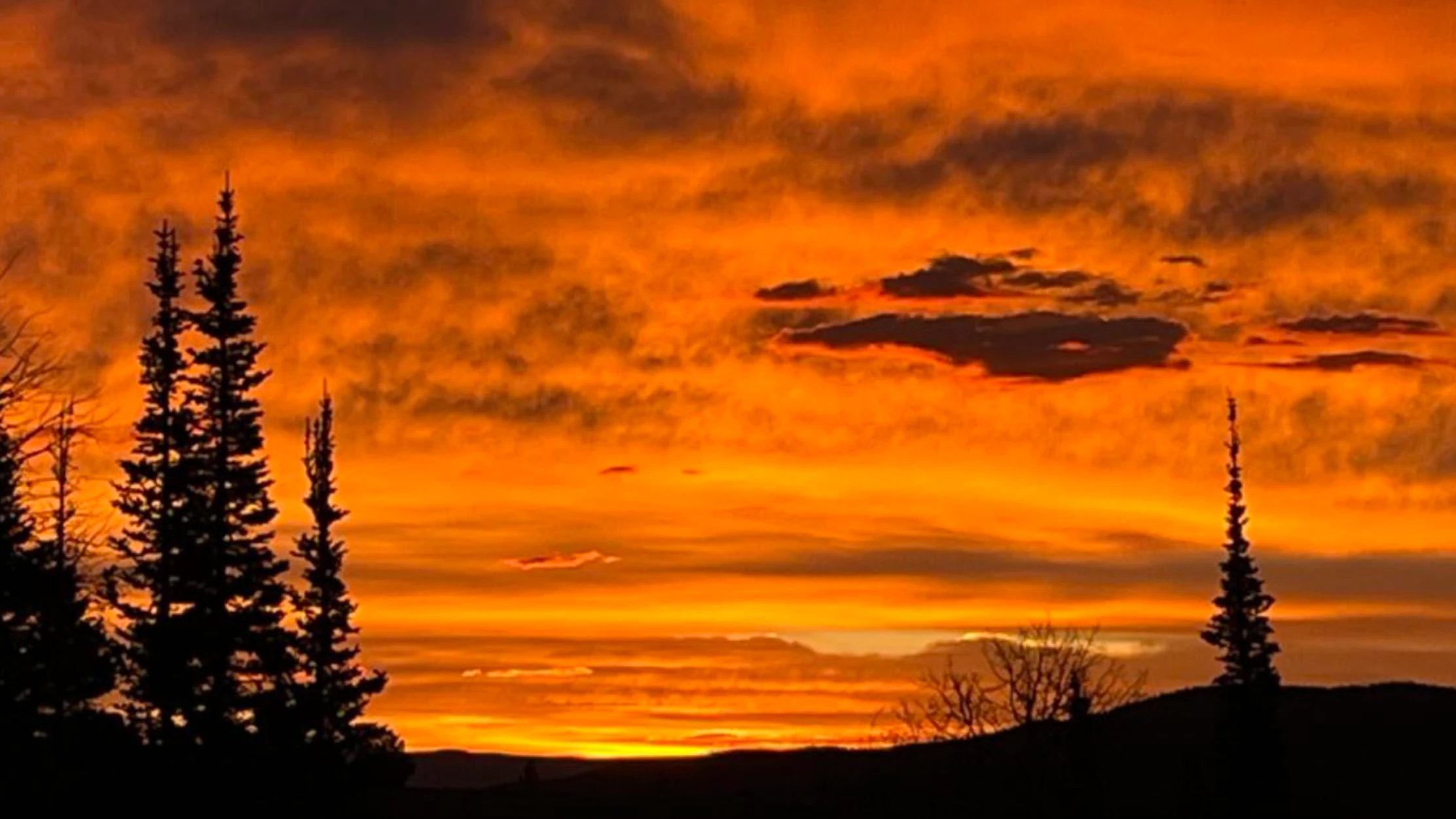 Sunrise web 10 16 25