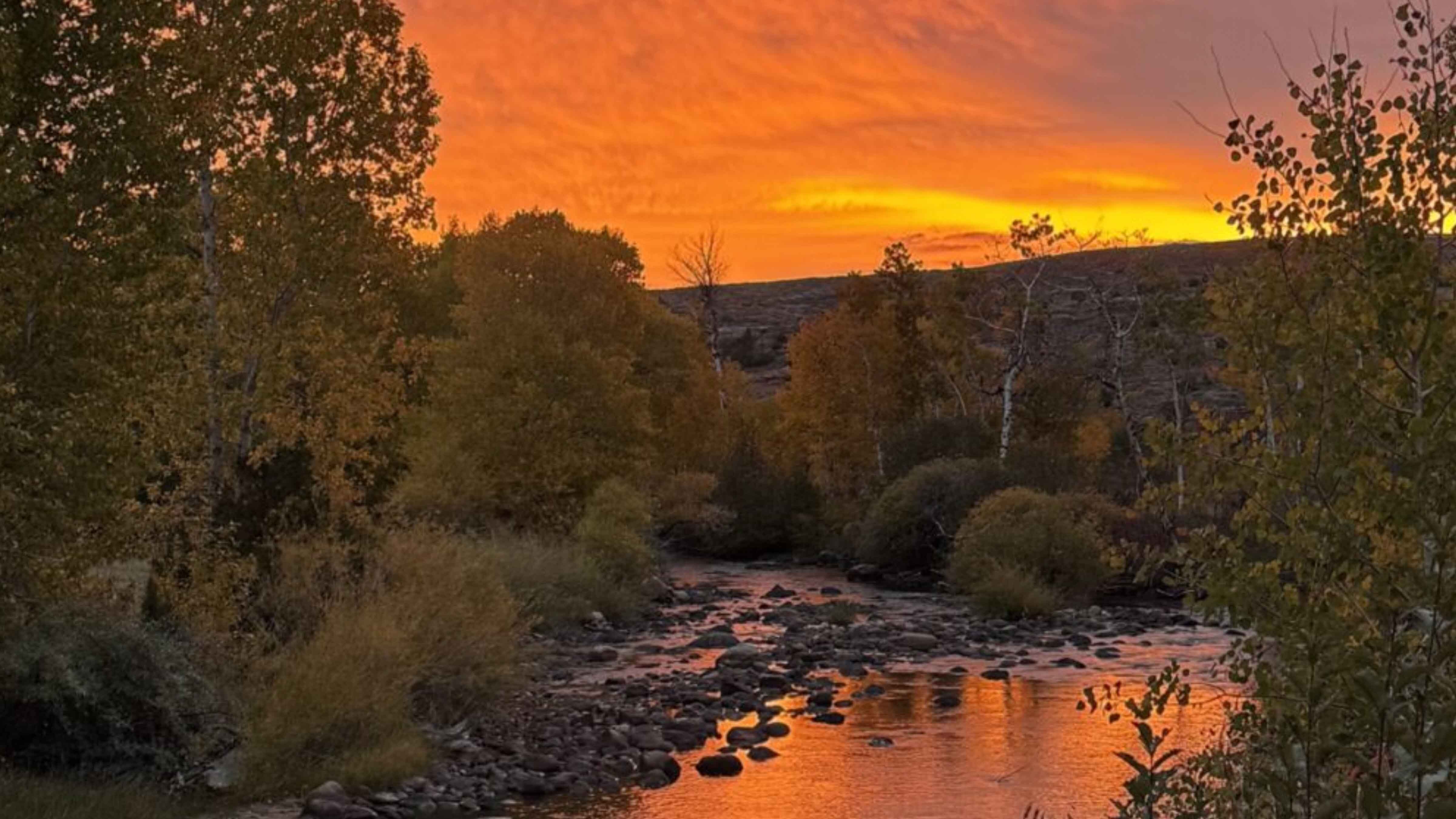 Sunrise web 10 20 25