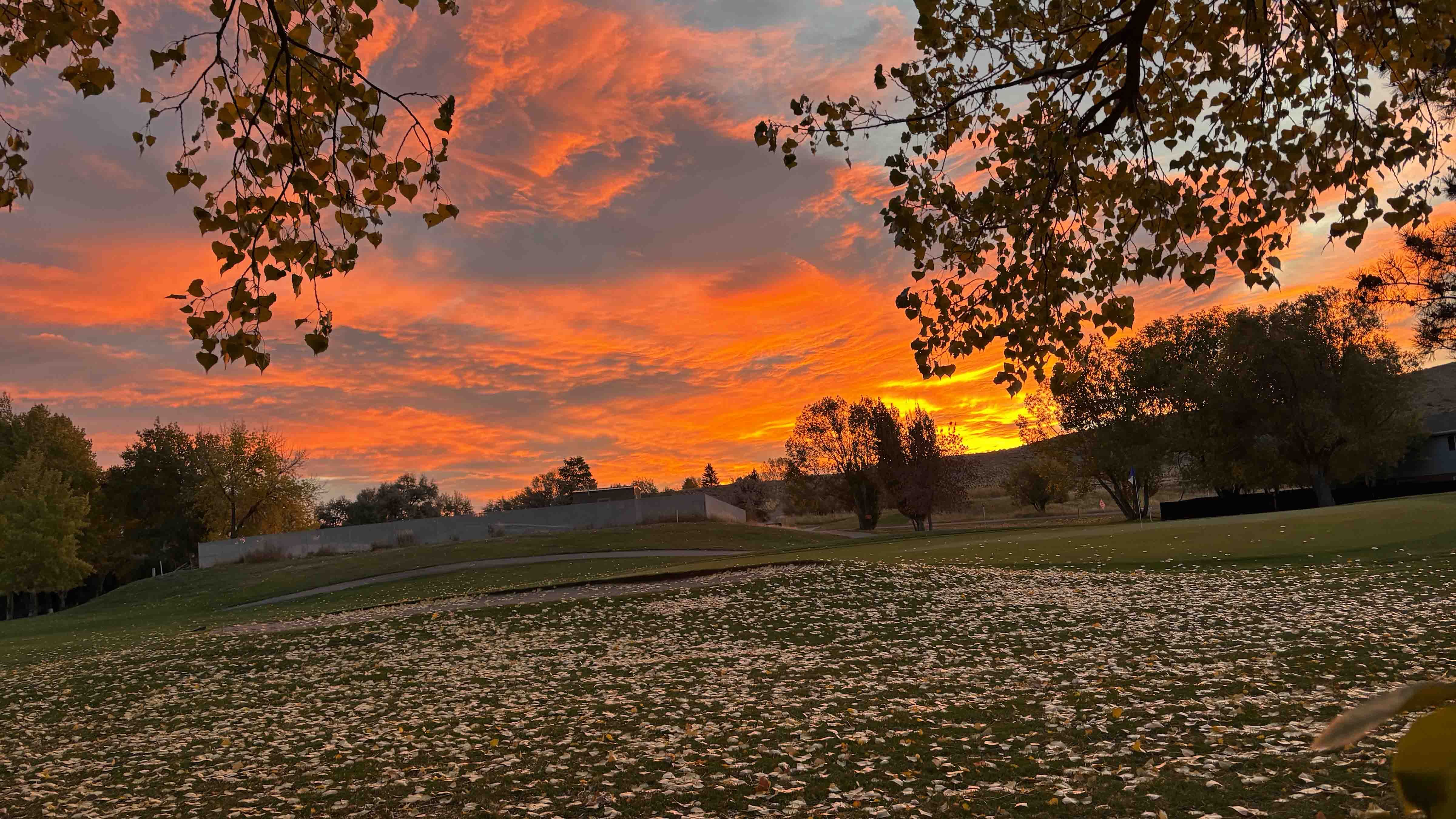 Sunrise web 10 22 25