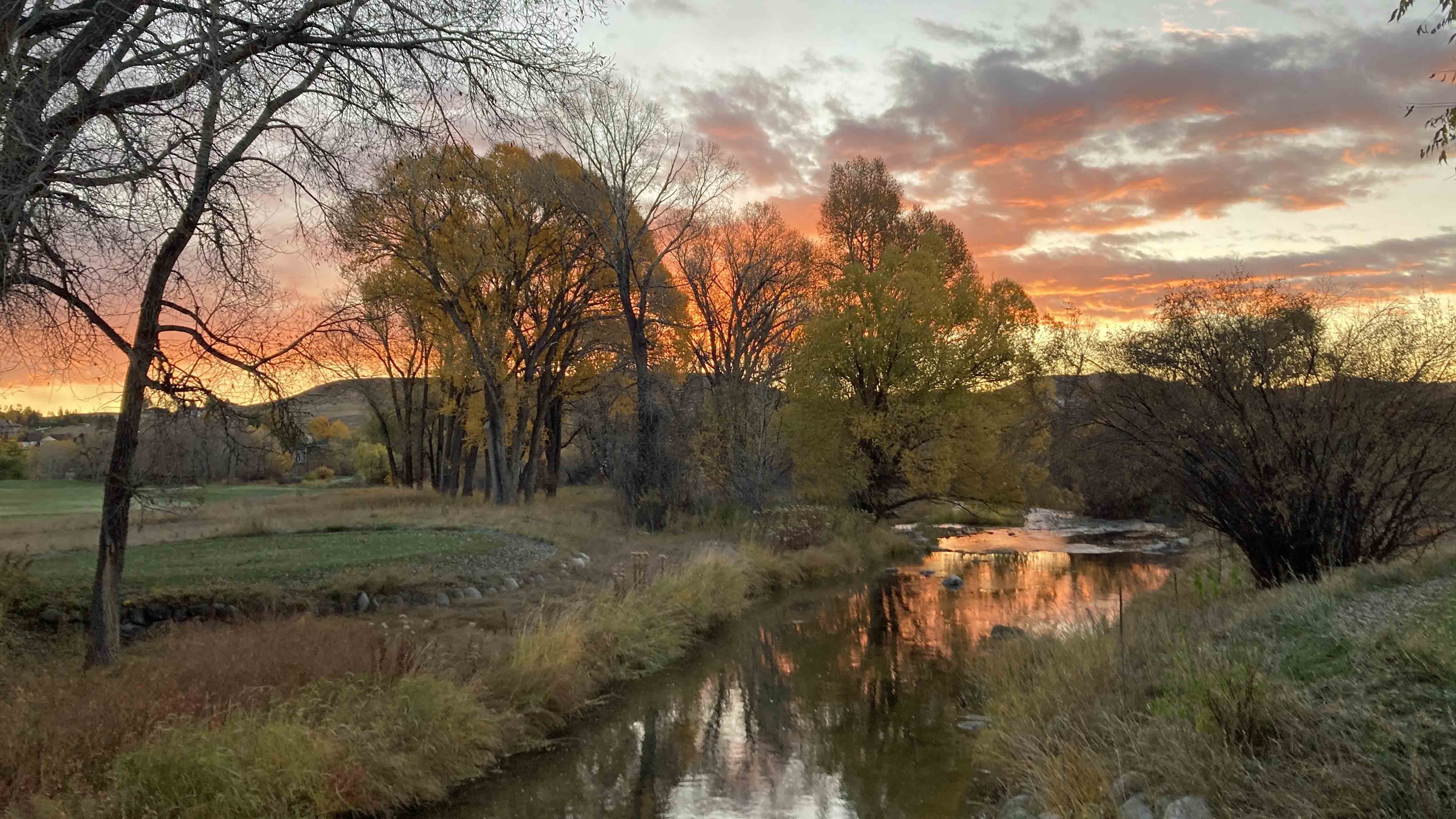 Sunrise web 10 30 25