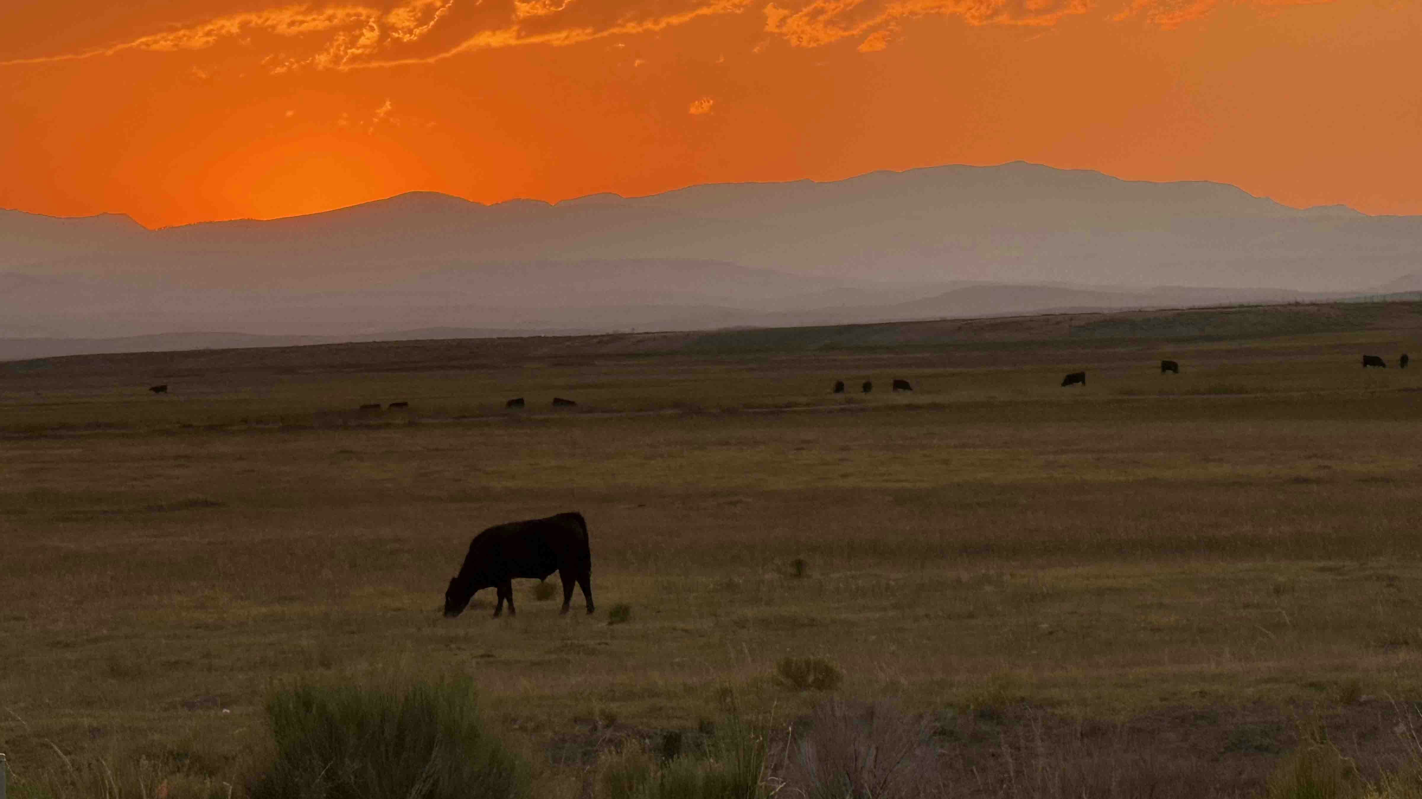 Sunset over the Wyoming Range.