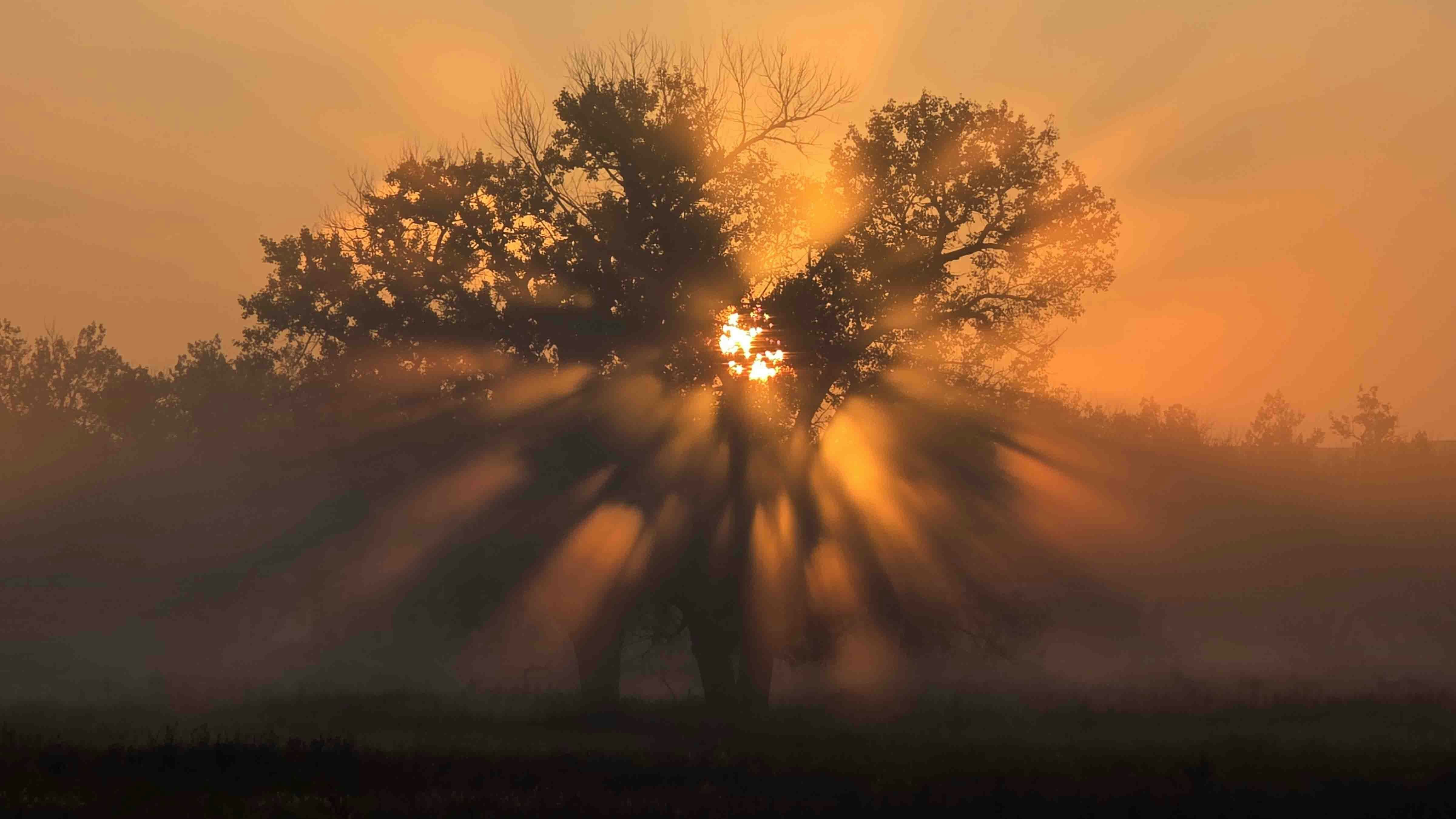 Sunrise web 9 20 25