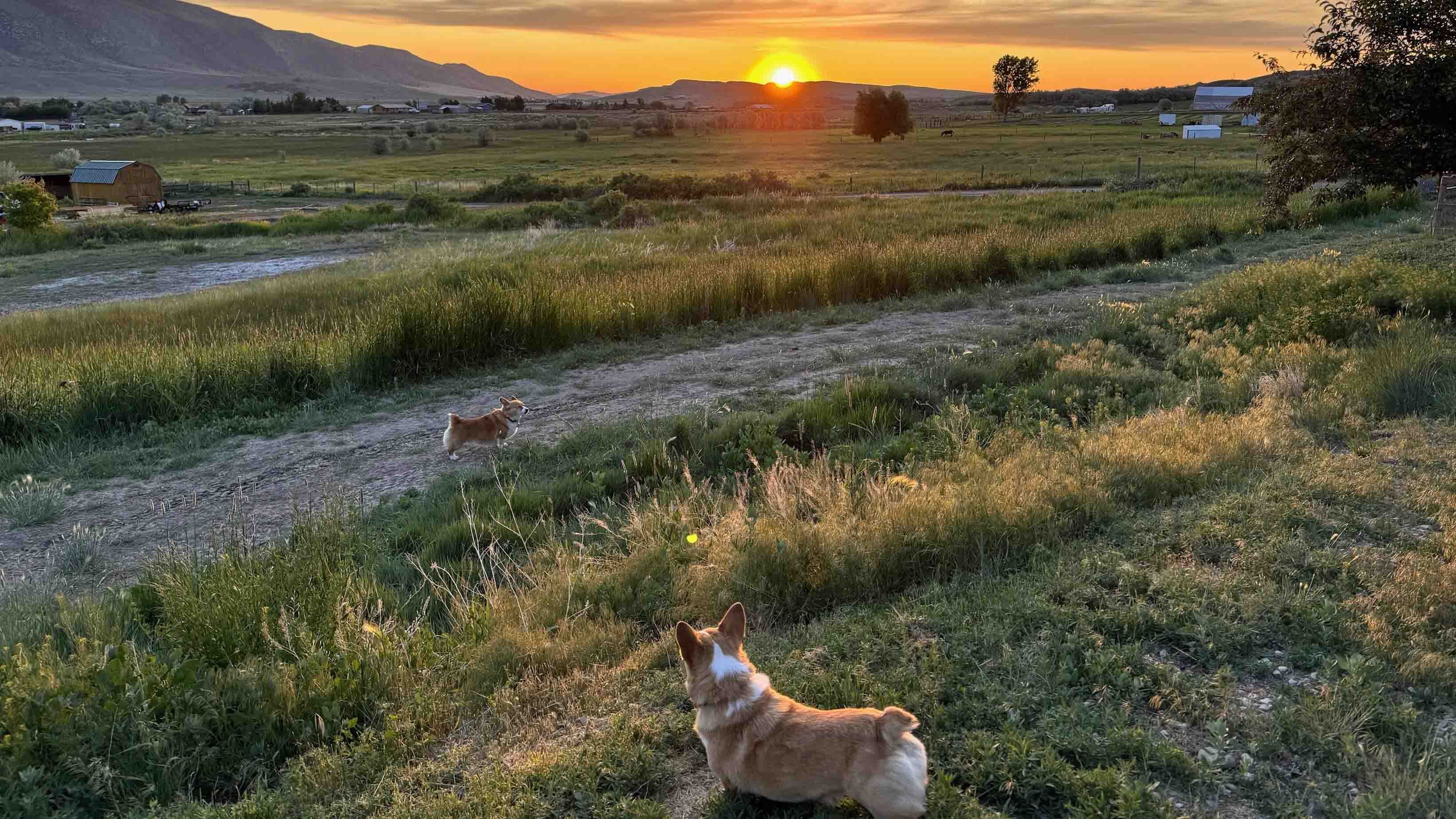 Sunrise website 6 17 25