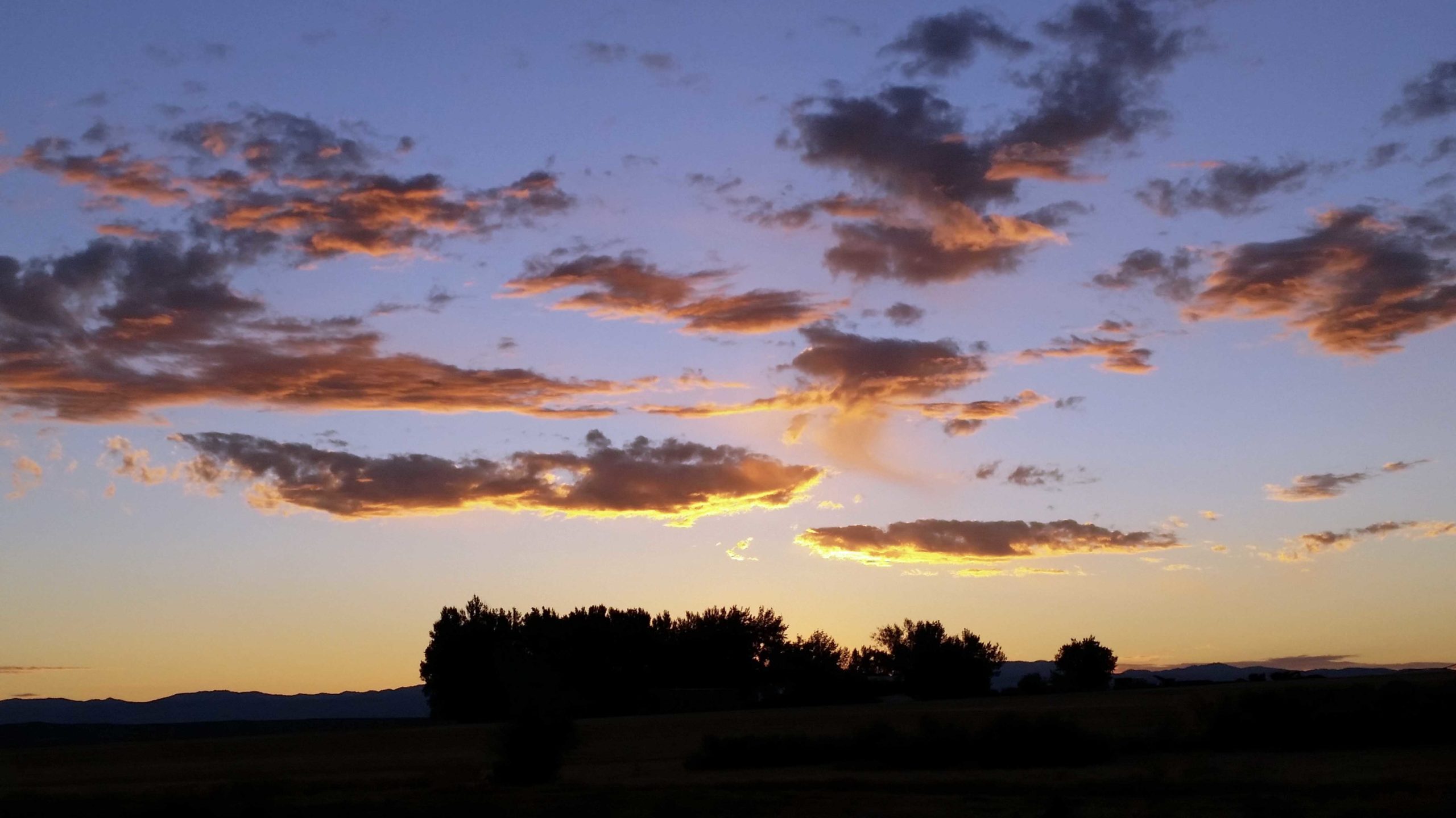 Sunriser 4 3 22 scaled