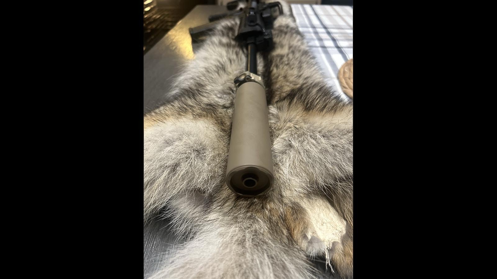 Suppressors are becoming more popular among hunters, who say the devices tone done the noise of shots enough to prevent hearing loss.