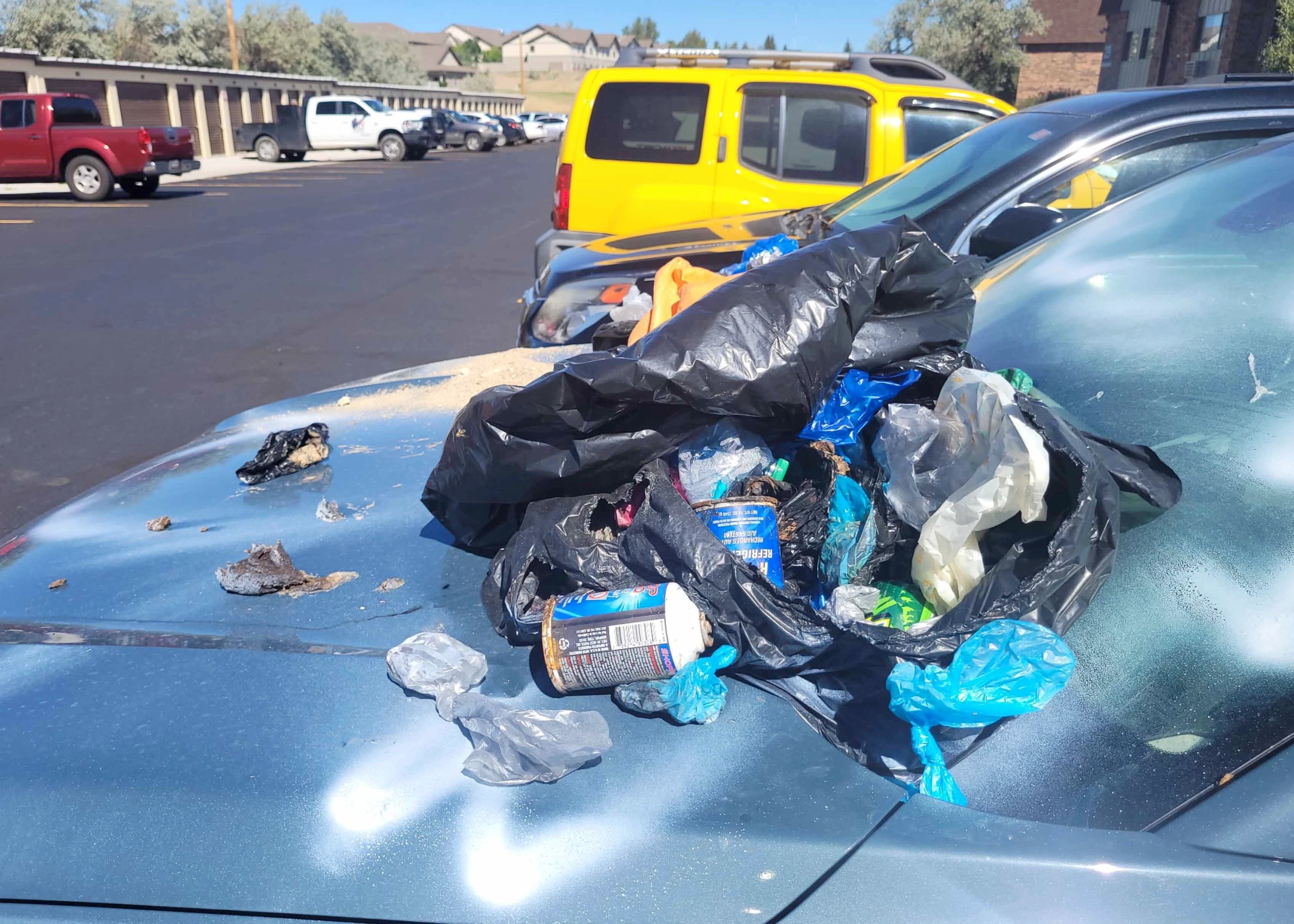 Suv vandalize 2 10 22 26
