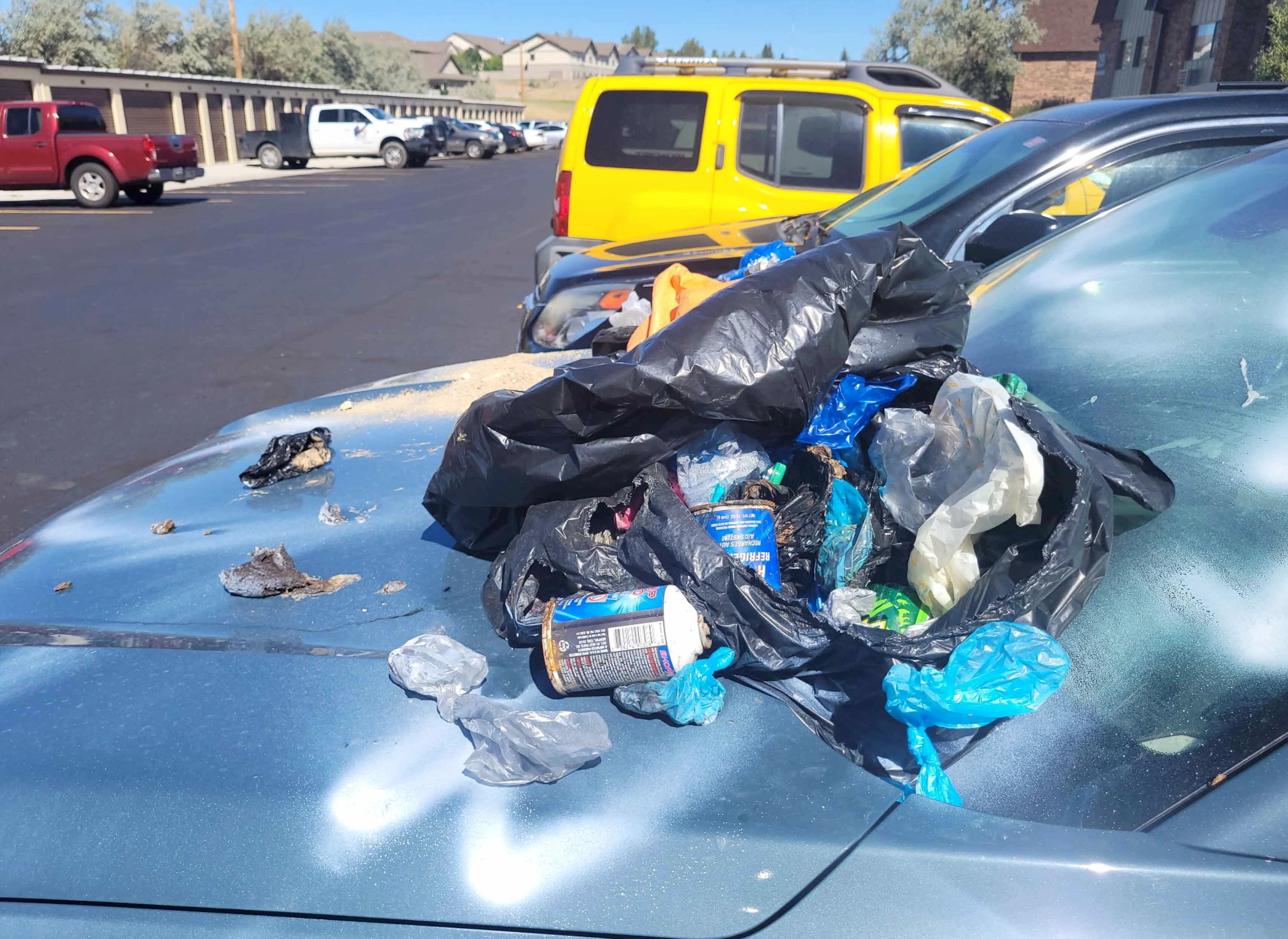 Suv vandalize 5 10 22 26