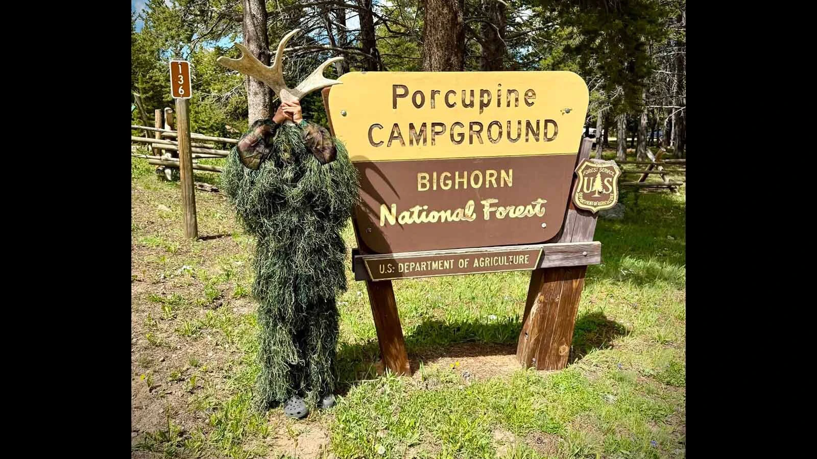 The dangerous and elusive "Swamp Moose" returned to the Bighorn National Forest over the Fourth of July weekend. It was actually 9-year-old Bridger Knox of Cheyenne wearing a ghillie suit with a moose antler on his head.