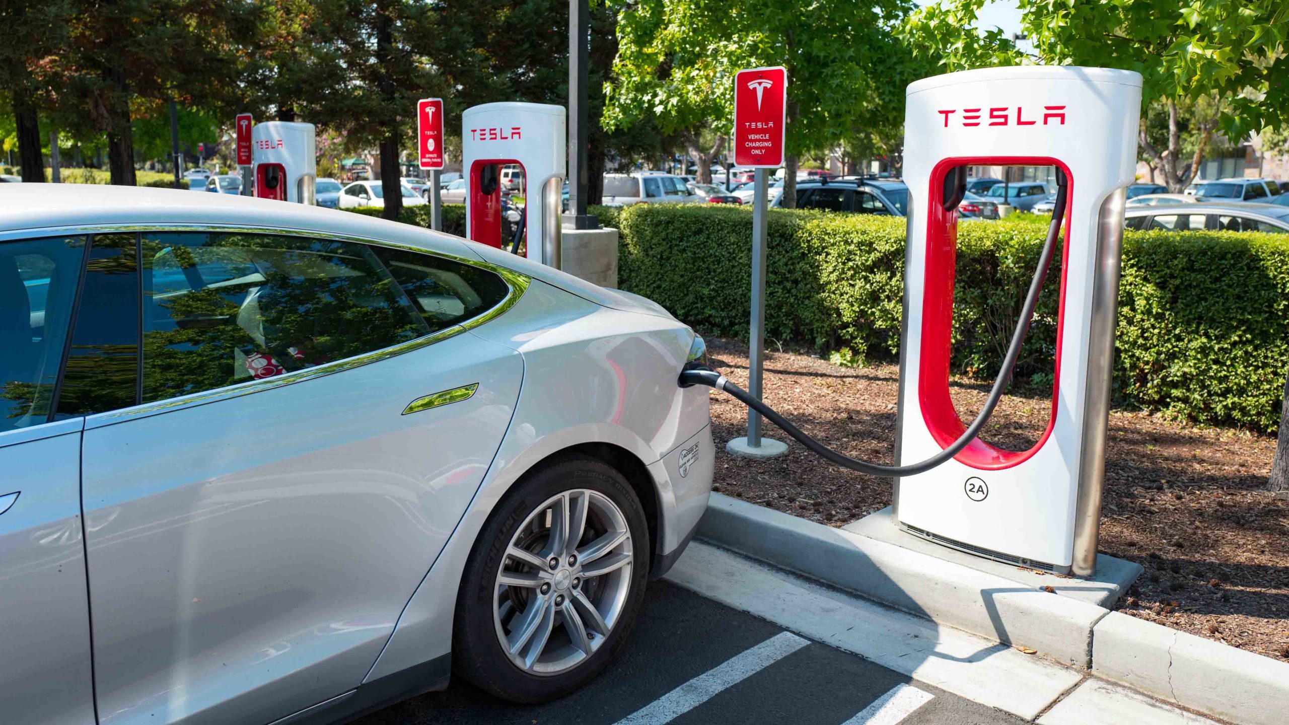 There Are Only 456 Electric Cars Registered in Wyoming; Will They Ever