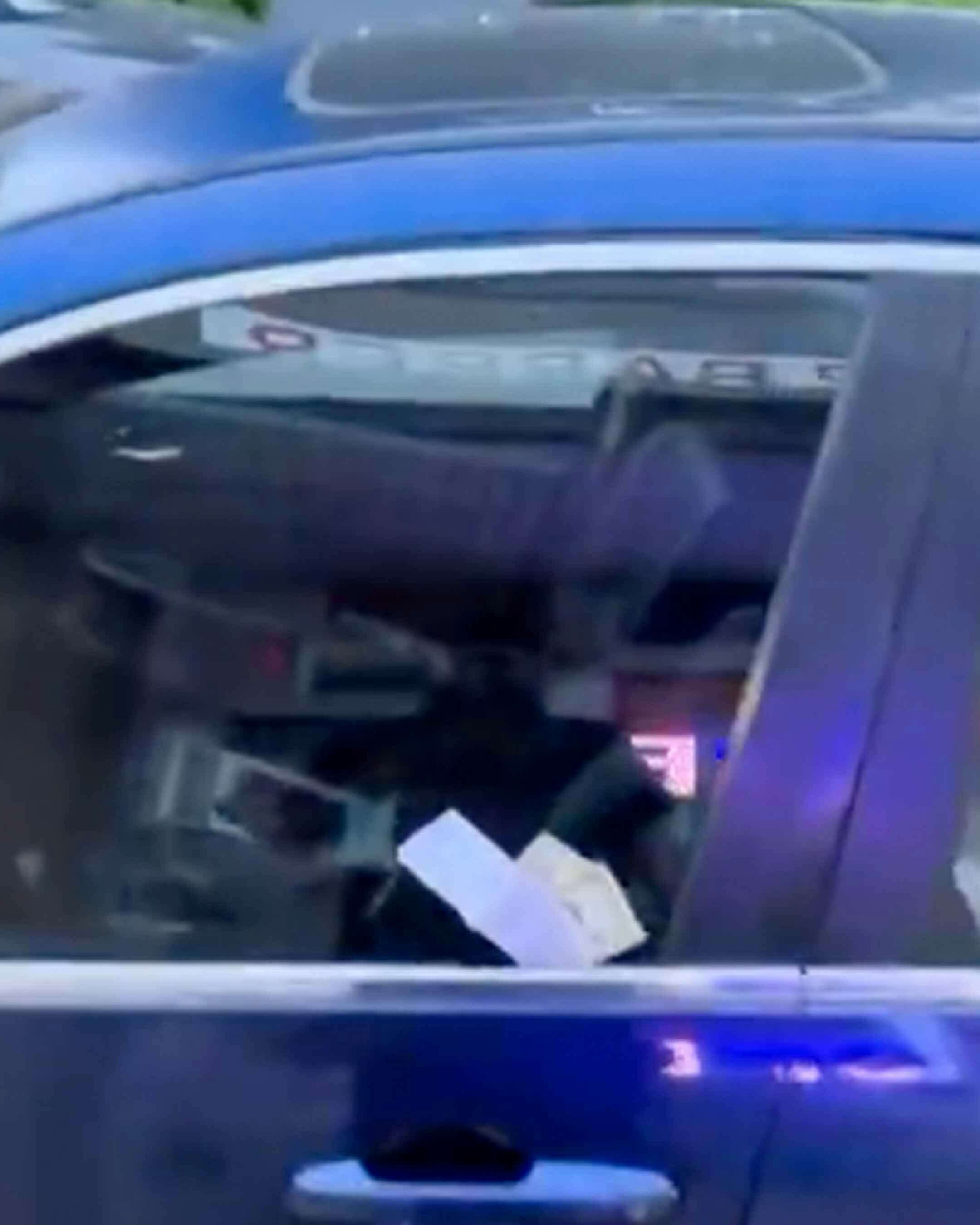 Thoughtfullness 12 4 25