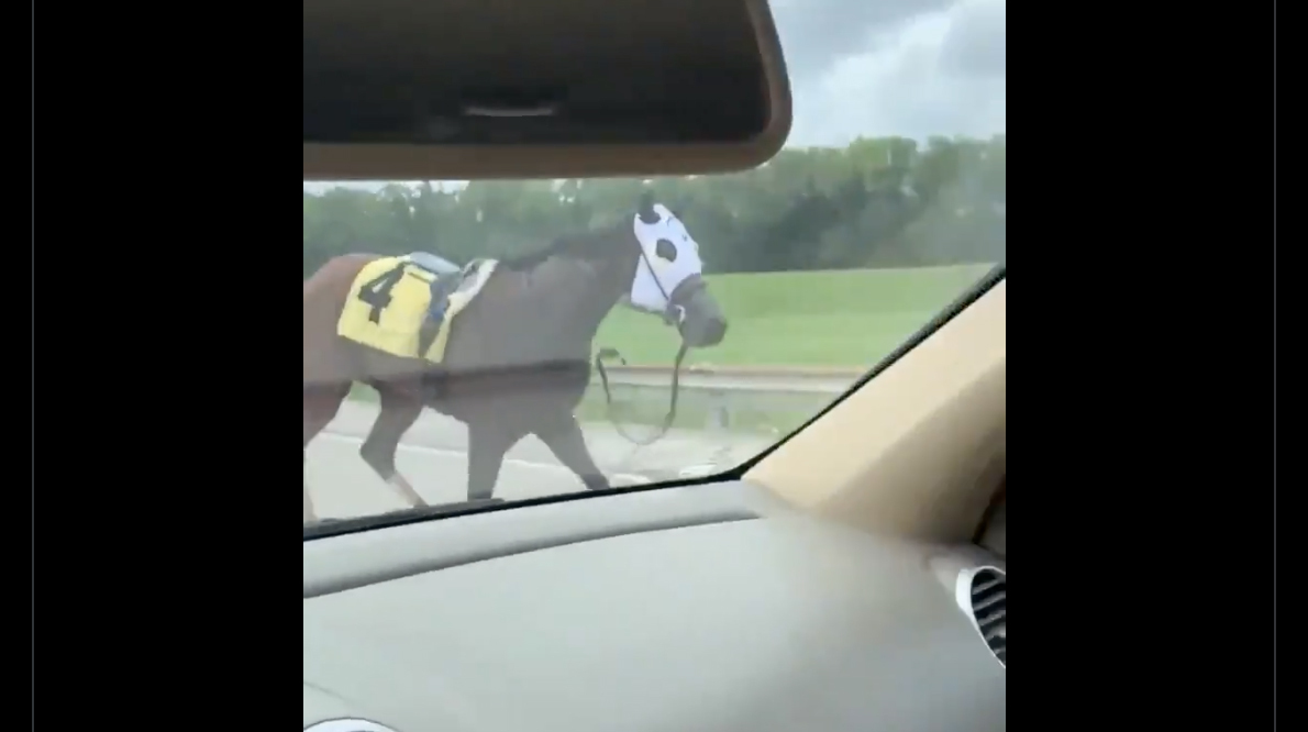 Thursday smile 9 15 22 no play