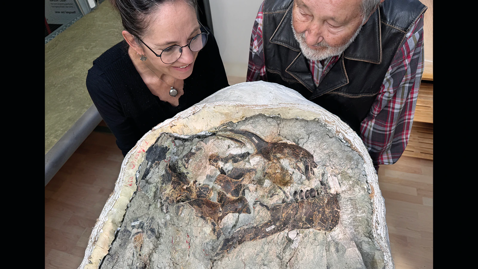 Yolanda Schicker-Siber and Hans Jakob "Kirby" Siber with the small skull of "Lucy," a juvenile Camarasaurus found near Medicine Bow. The skull belongs to a young dinosaur, between 8 and 10 years old, that lived and died around 150 million years ago in the Late Jurassic Period. 