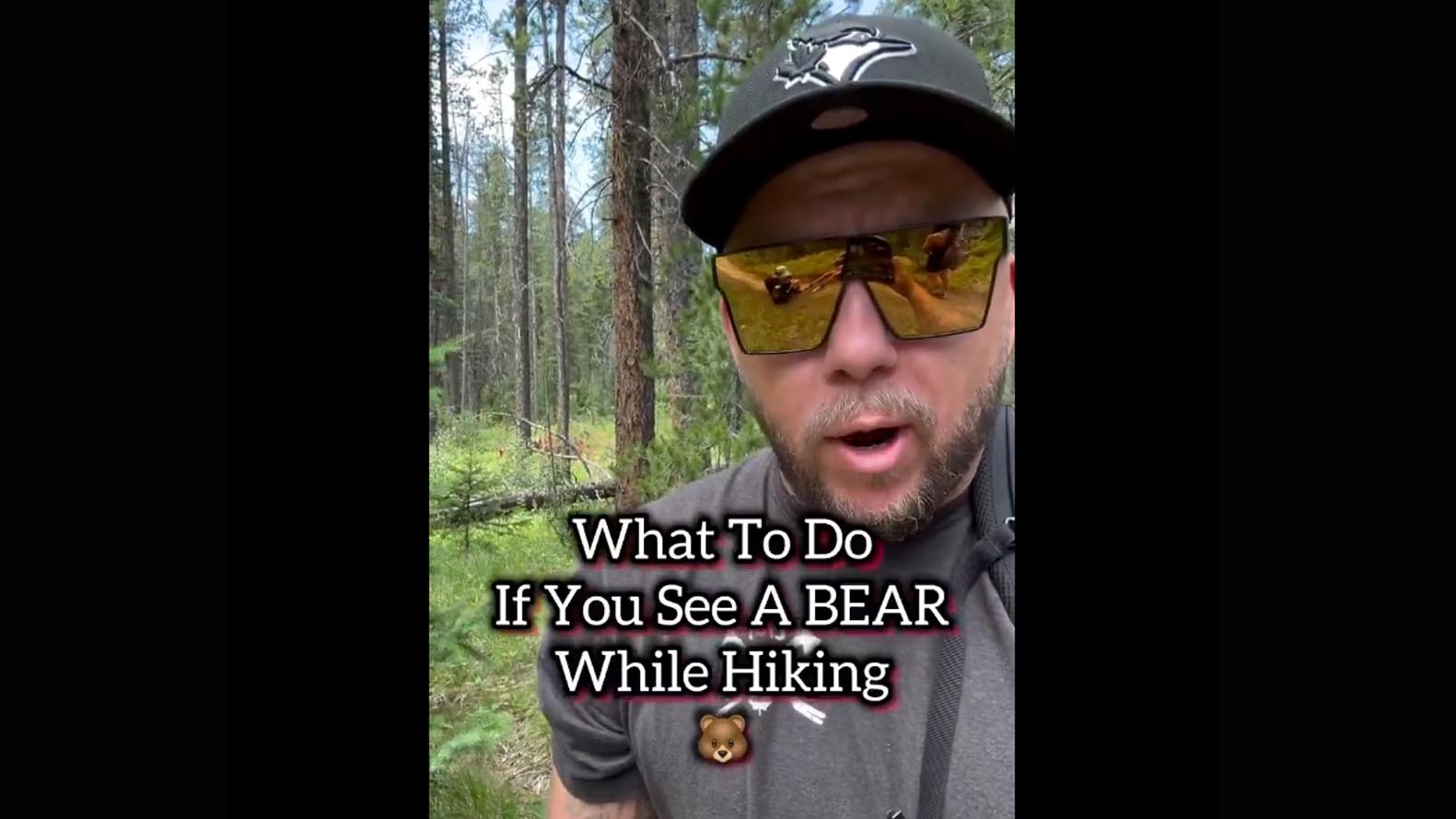 Today in bear safety 10 11 25