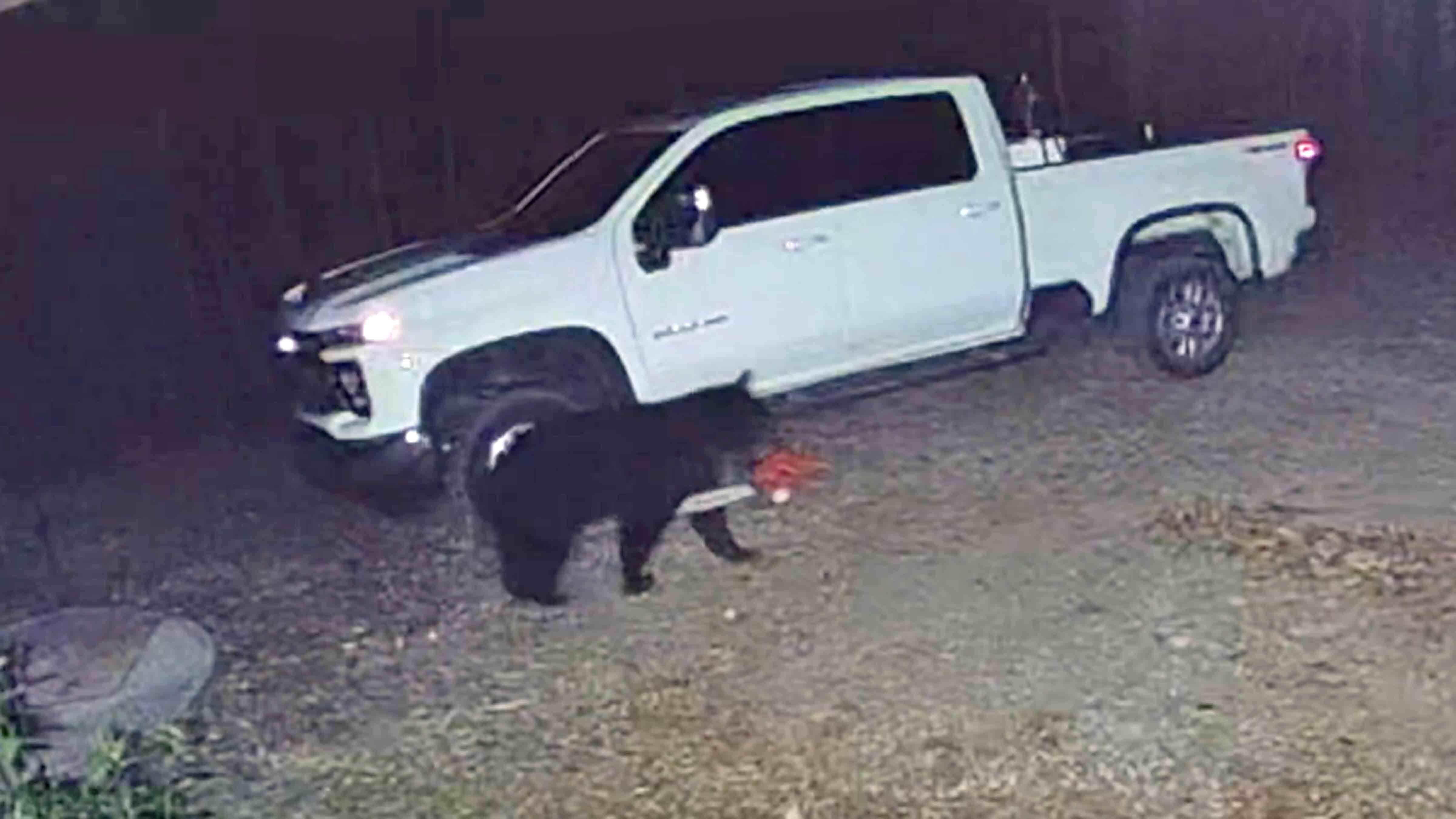 Today in bears 11 21 25