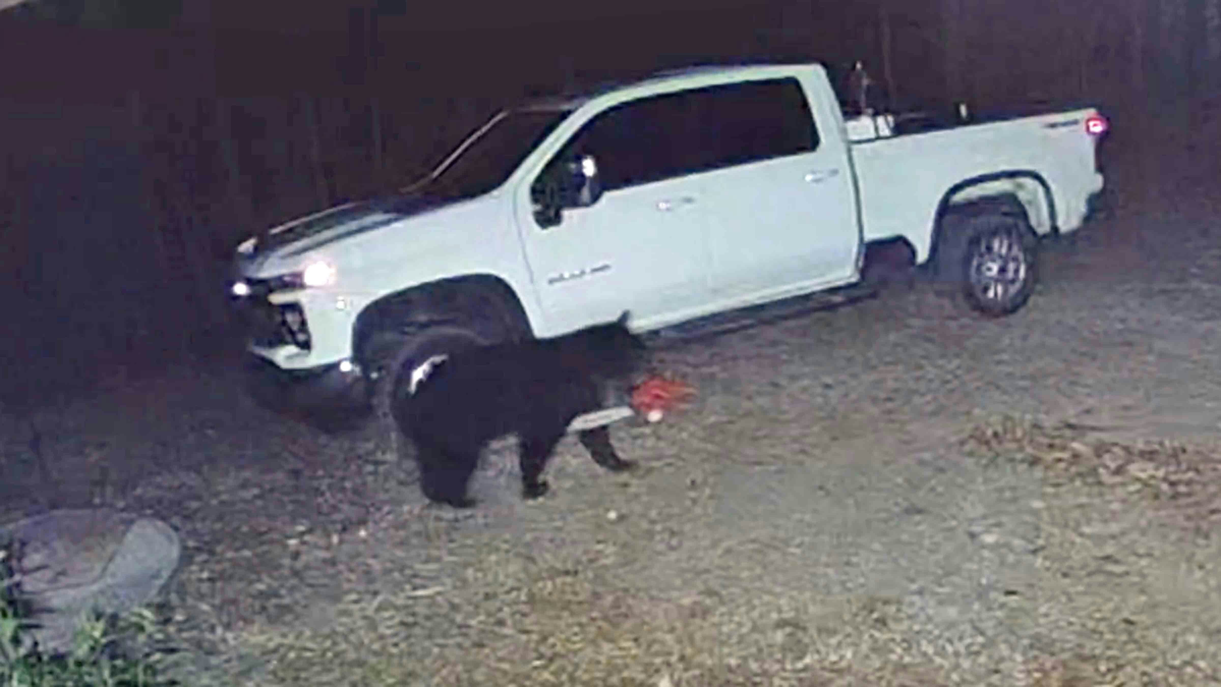 Today in bears 11 21 25