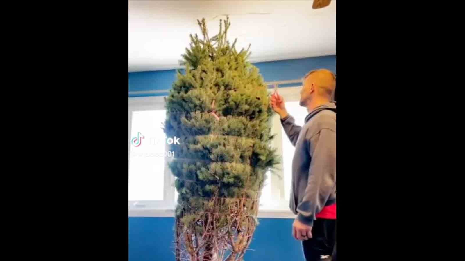 Today in christmas 12 8 24