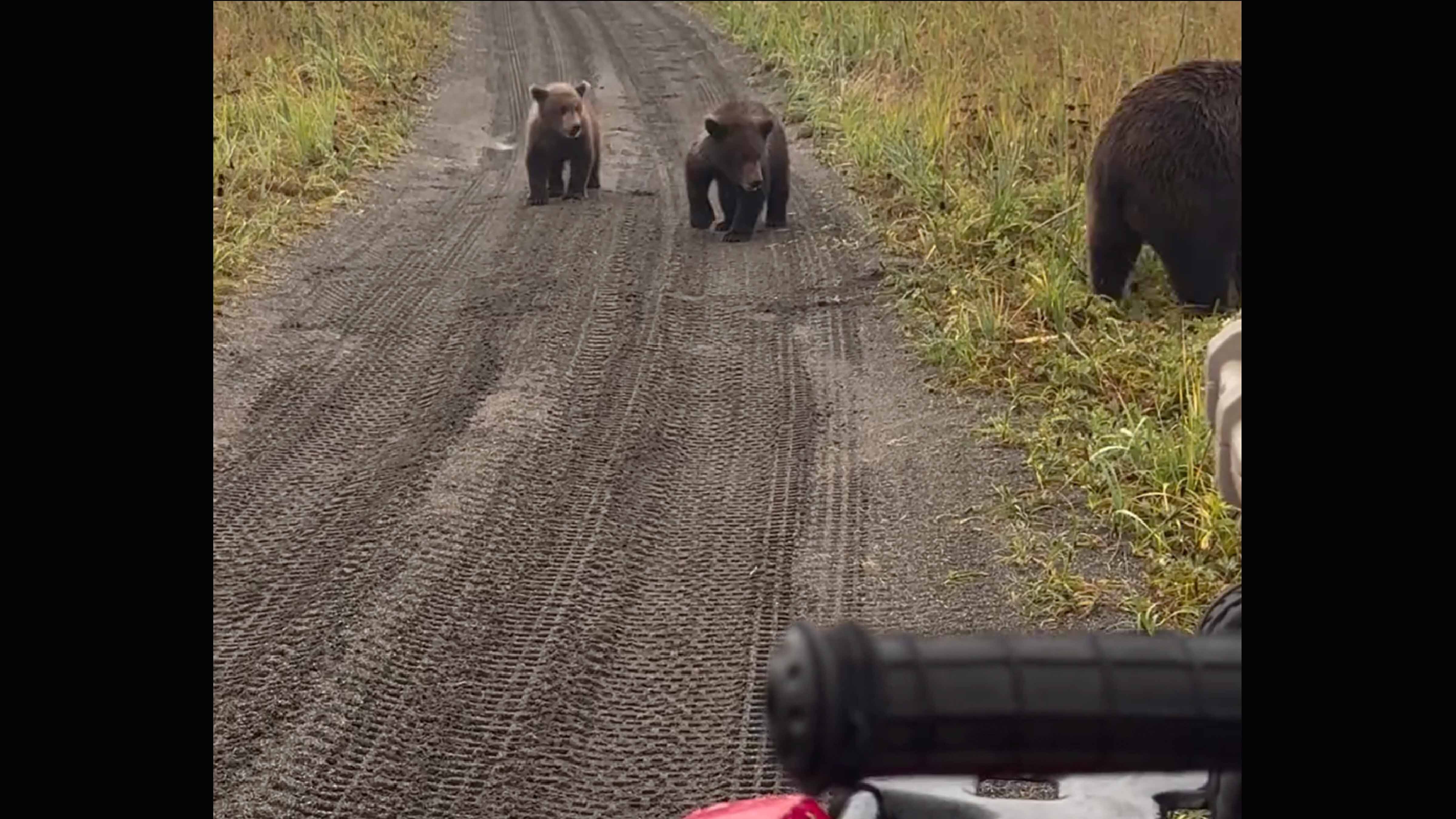 Today in darwin runner up 11 19 25 no play