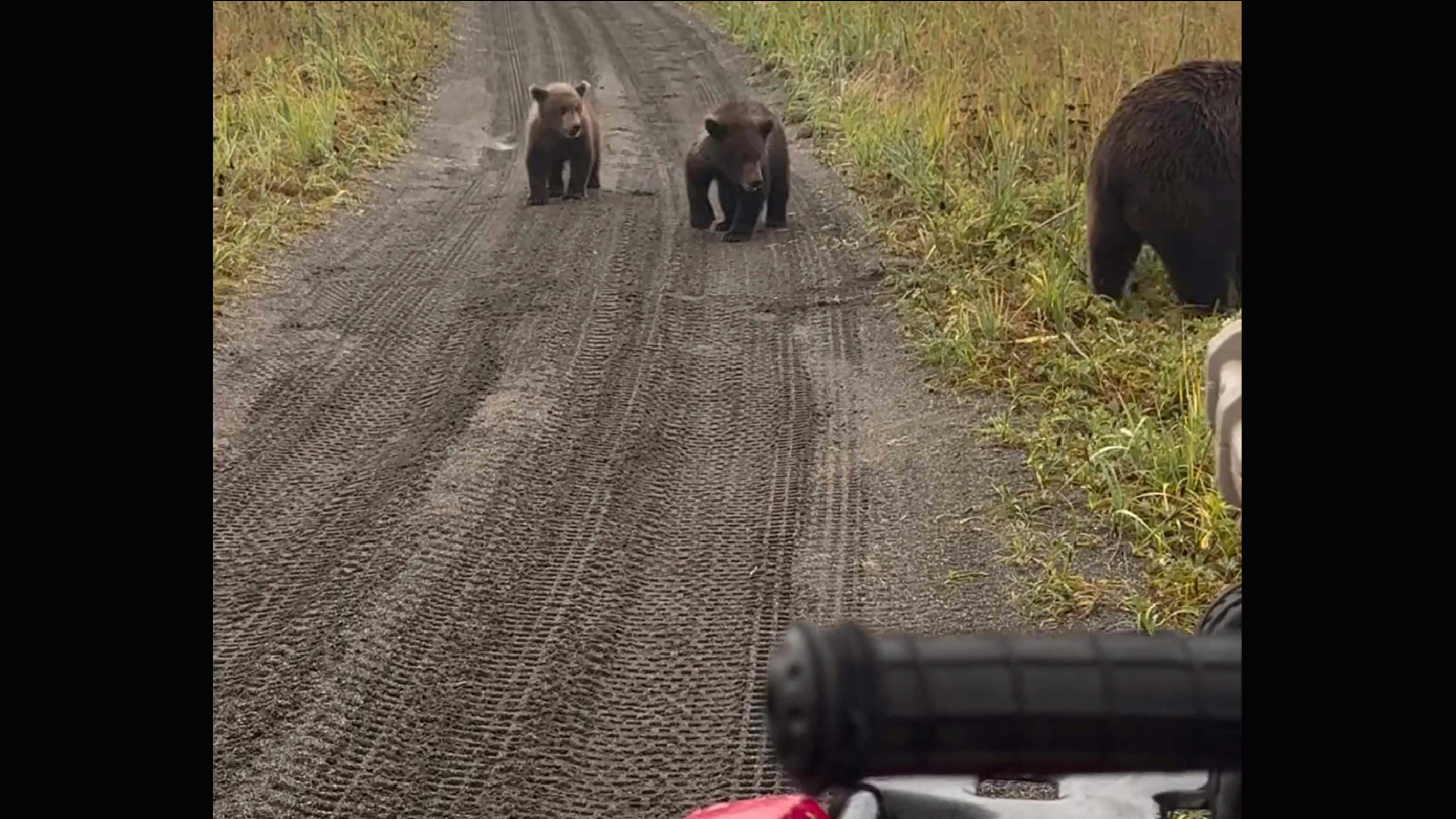 Today in darwin runner up 11 19 25 no play