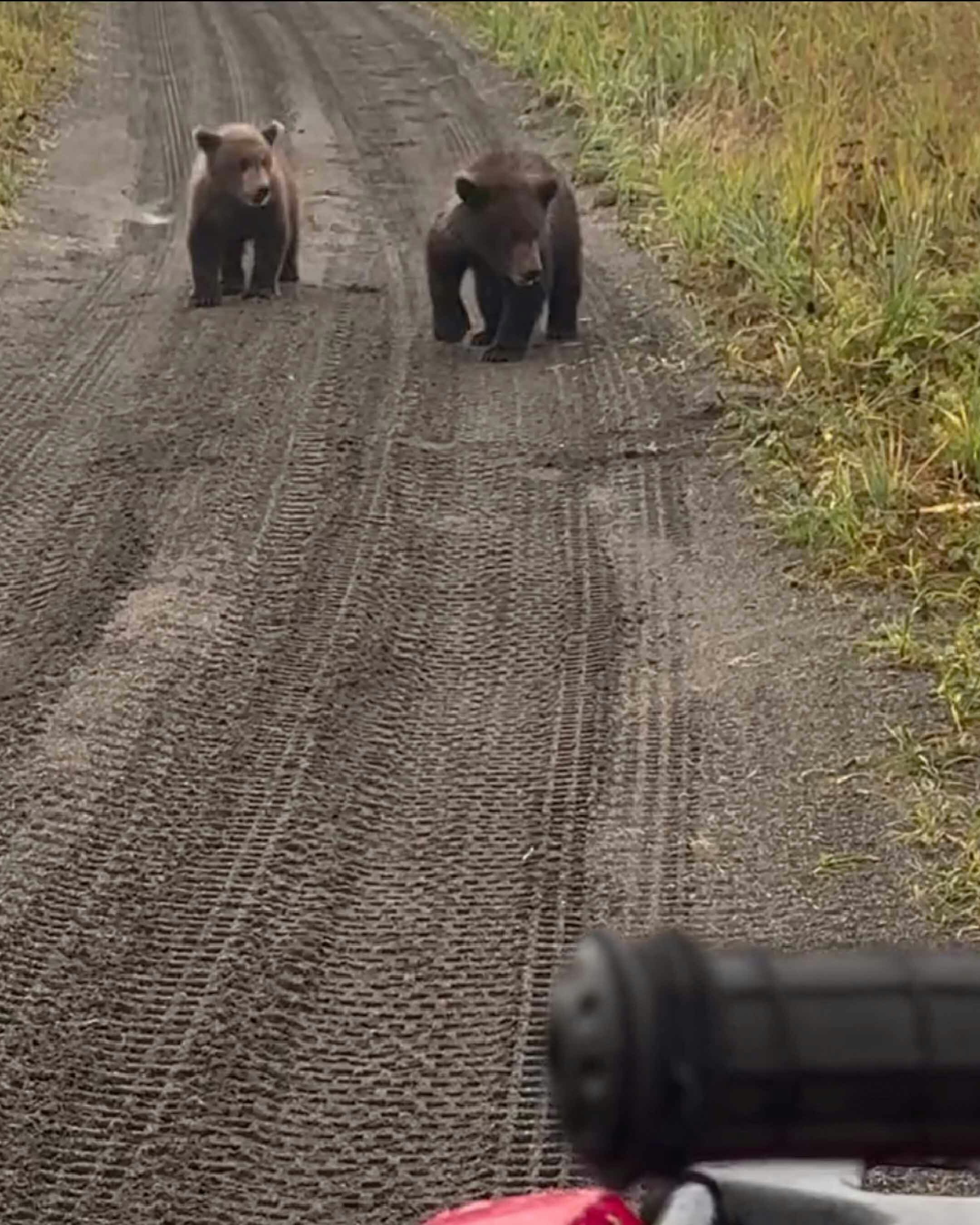 Today in darwin runner up 11 19 25 no play