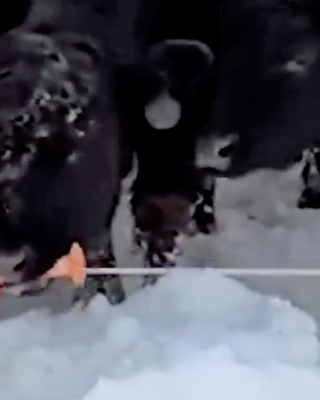 Today in farming 5 3 25