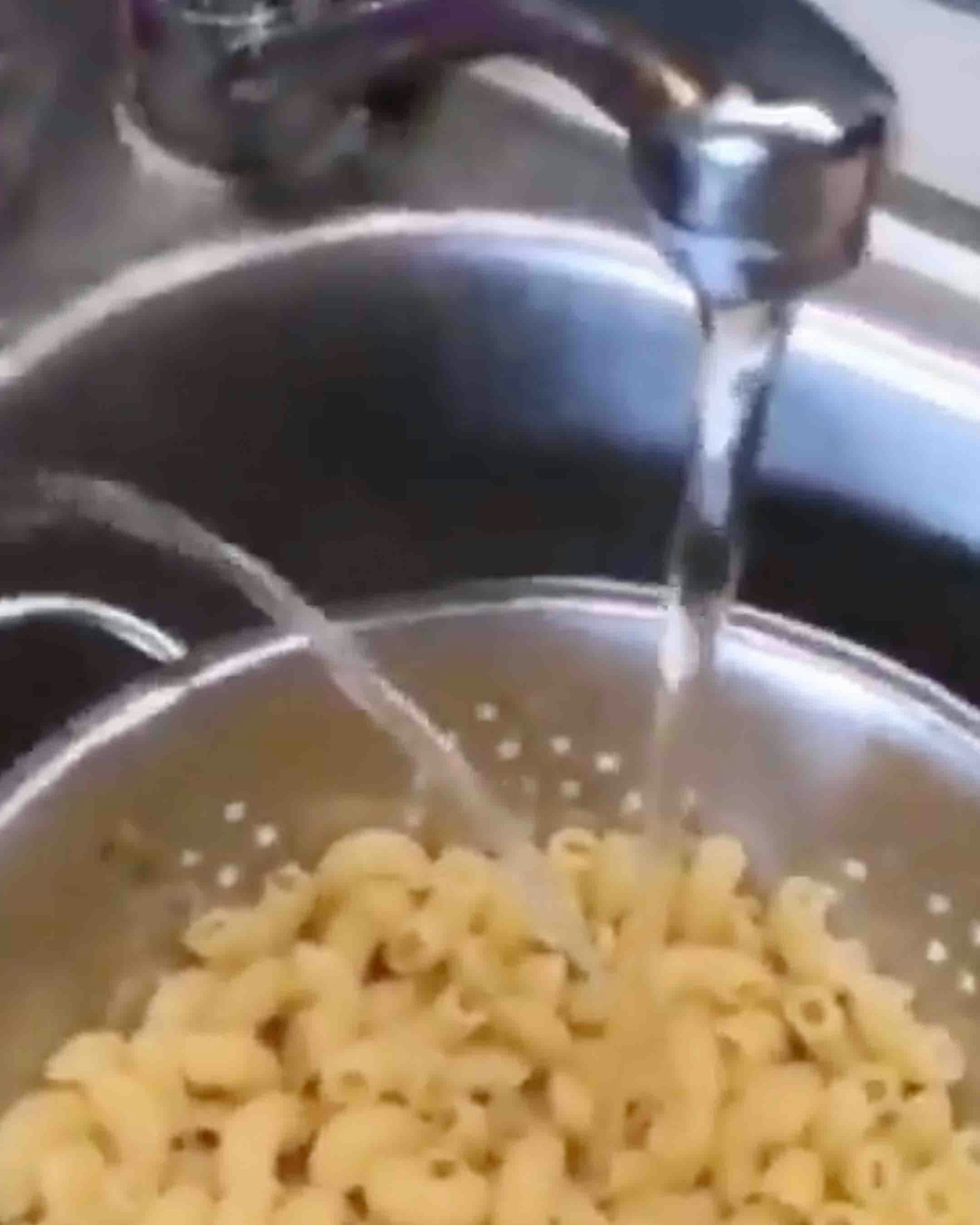 Today in pasta 5 26 25