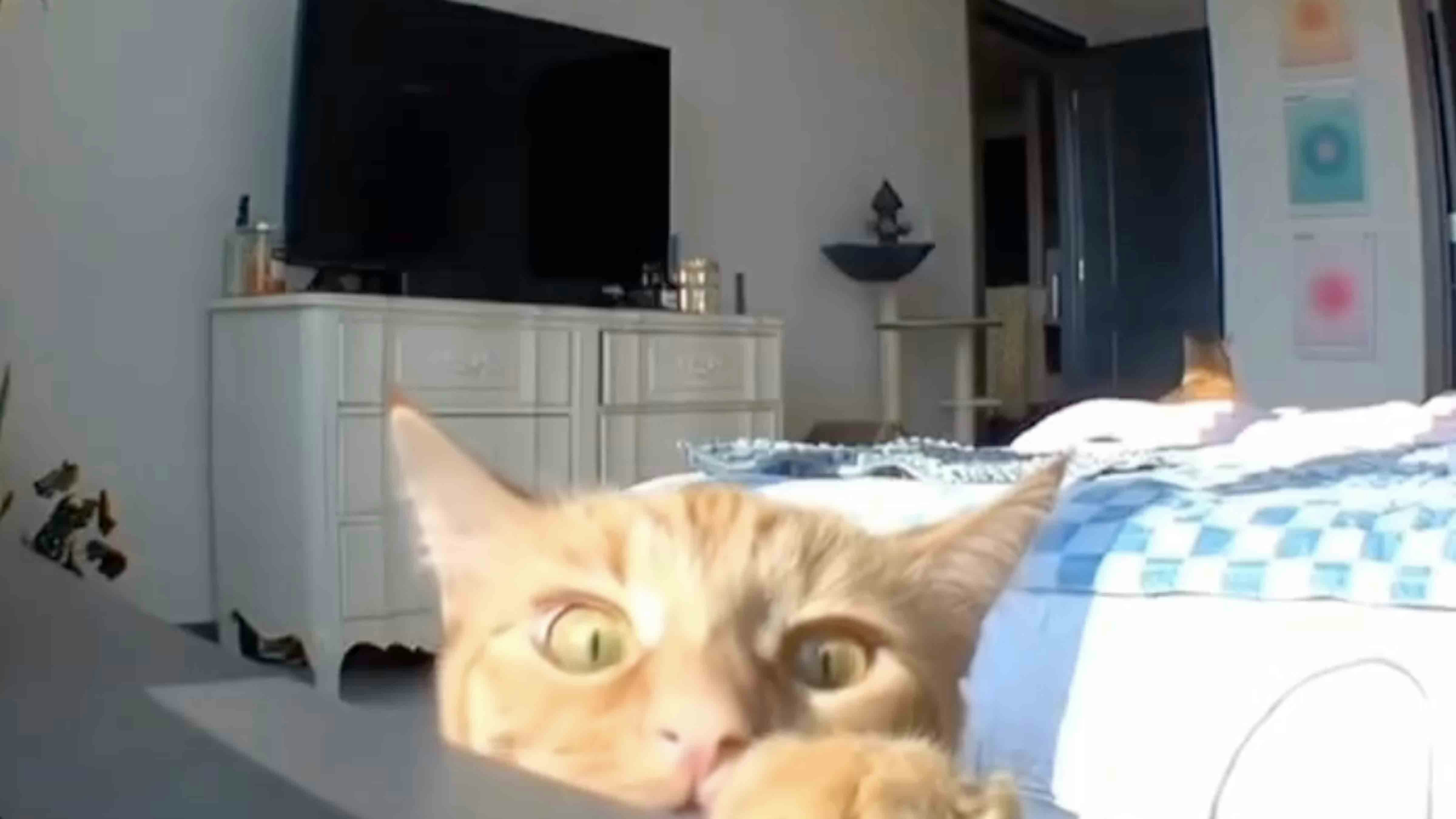 Today in security cams 9 9 25