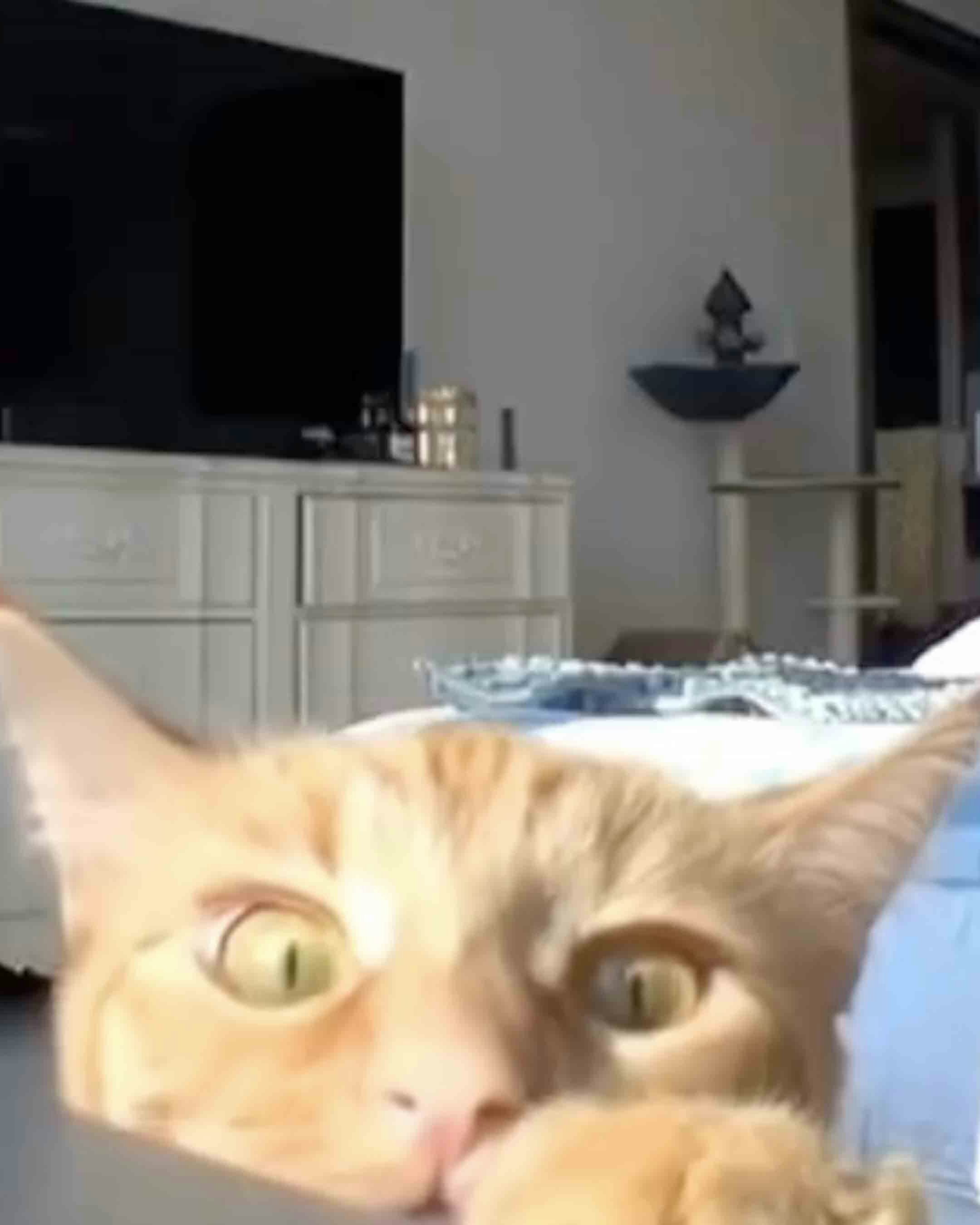 Today in security cams 9 9 25