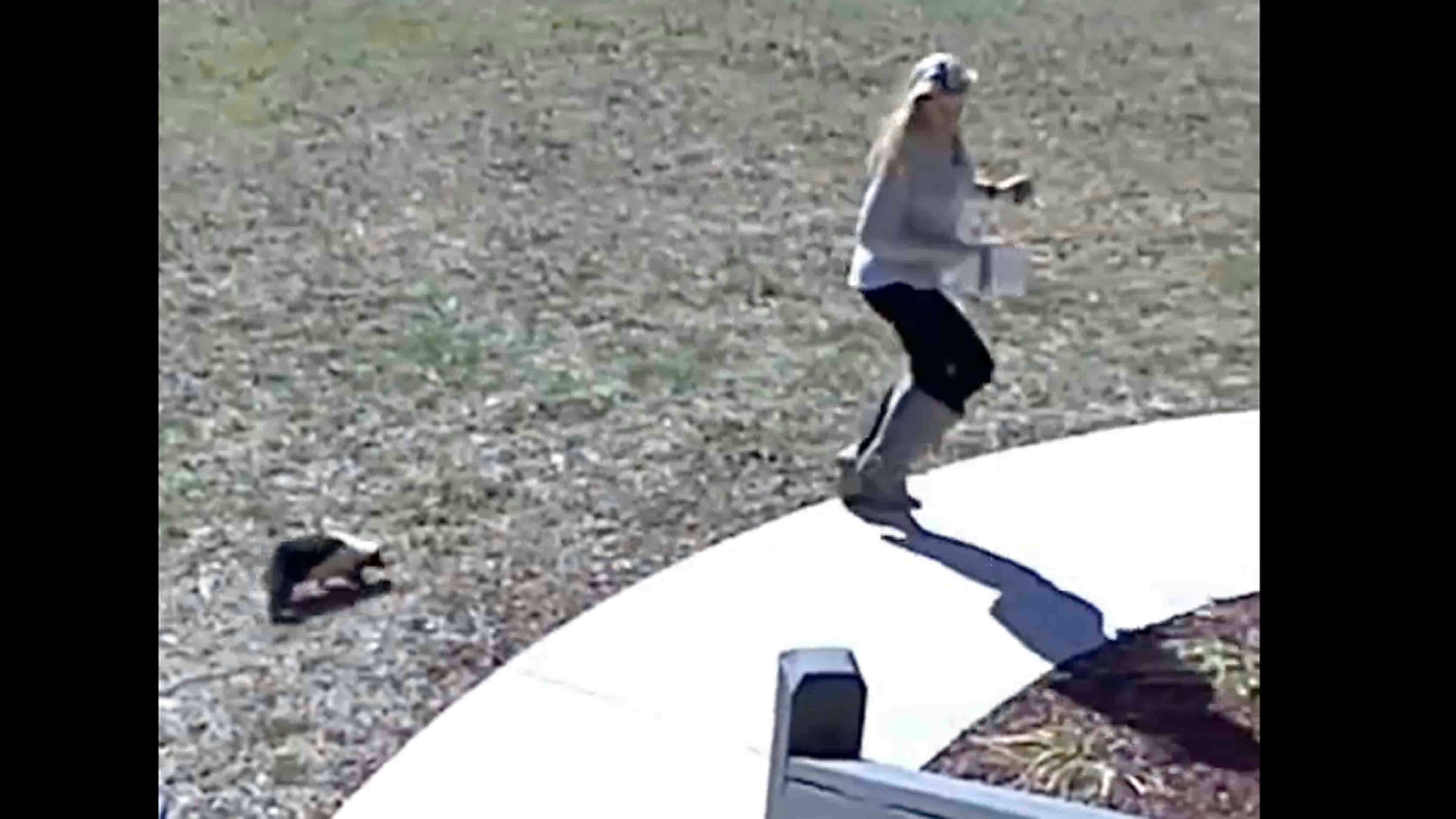 Today in skunks 6 5 25