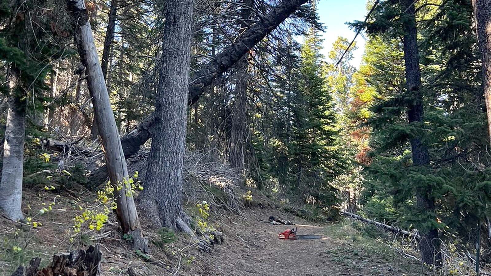 Maintaining public hiking and biking trails, like these on Casper Mountain, frequently requires hard work from local volunteer organizations.